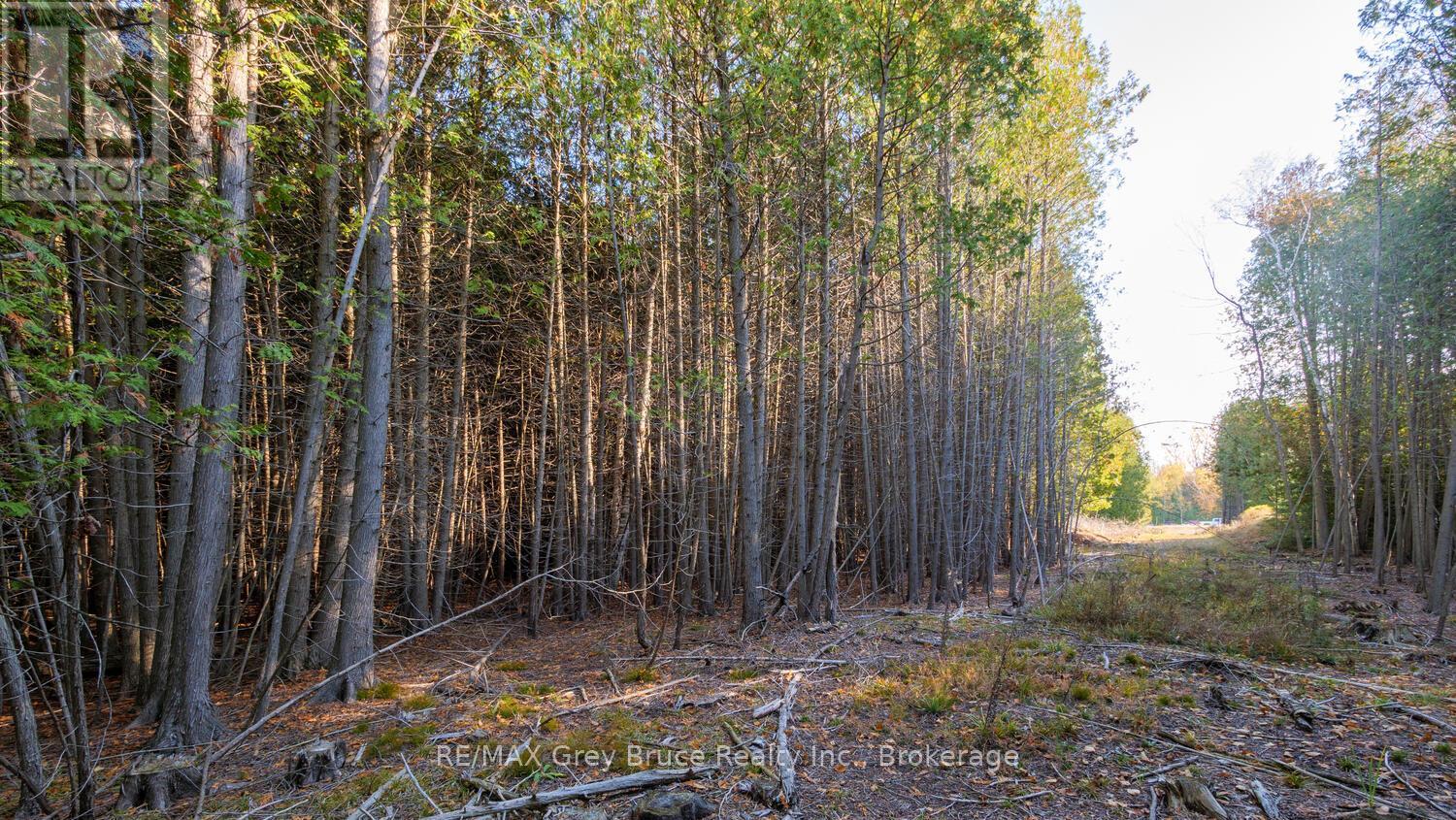 Part Lot 37 Con D Sauble Falls Parkway, South Bruce Peninsula, Ontario  N0H 2G0 - Photo 8 - X12062389