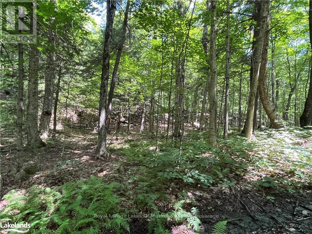Lot 134 Brennan Circle, Huntsville, Ontario  P1H 2J2 - Photo 10 - X12063249