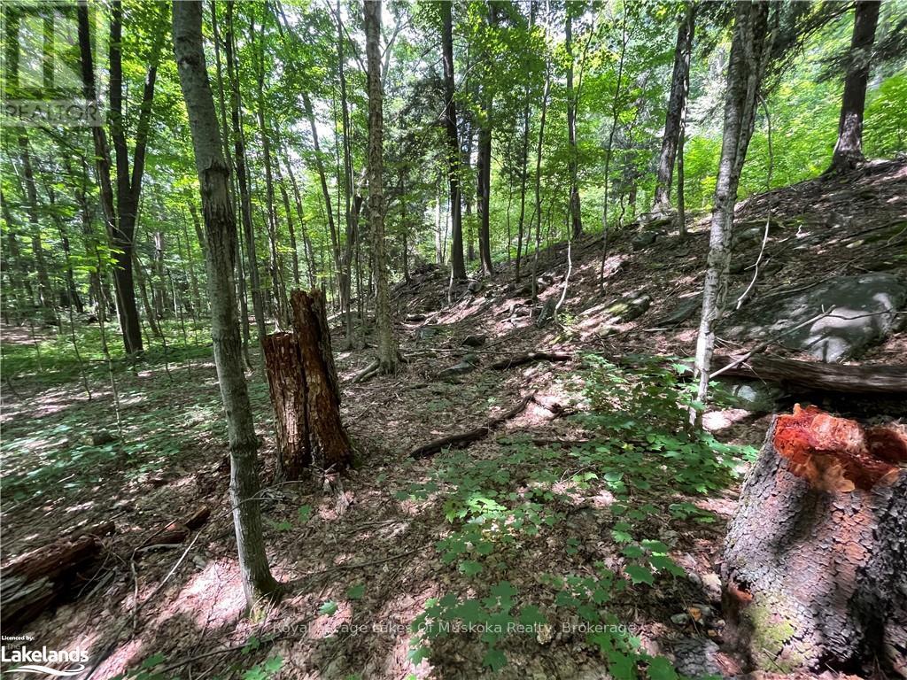 Lot 134 Brennan Circle, Huntsville, Ontario  P1H 2J2 - Photo 11 - X12063249