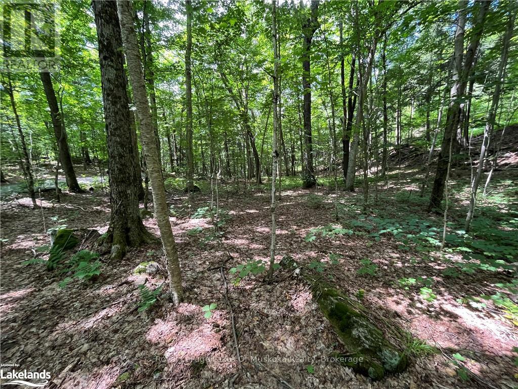 Lot 134 Brennan Circle, Huntsville, Ontario  P1H 2J2 - Photo 5 - X12063249