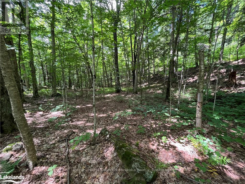 Lot 134 Brennan Circle, Huntsville, Ontario  P1H 2J2 - Photo 6 - X12063249