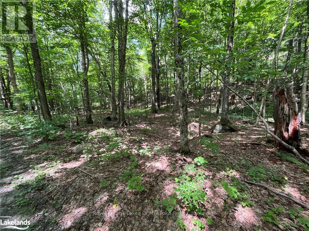 Lot 134 Brennan Circle, Huntsville, Ontario  P1H 2J2 - Photo 7 - X12063249