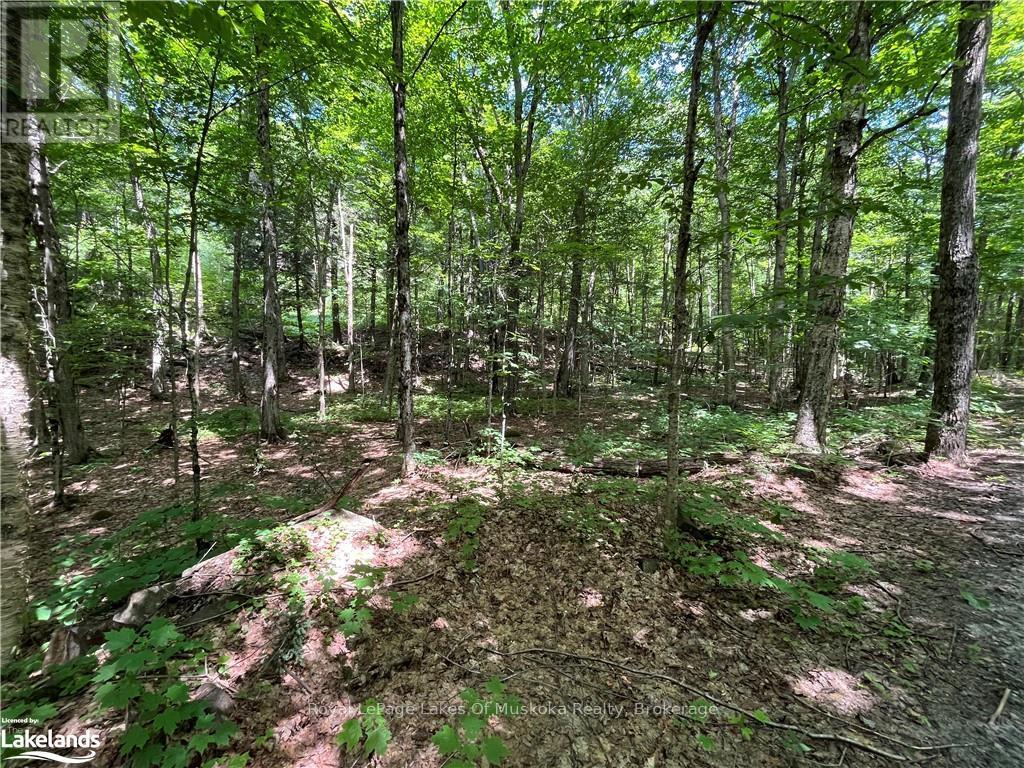 Lot 134 Brennan Circle, Huntsville, Ontario  P1H 2J2 - Photo 8 - X12063249