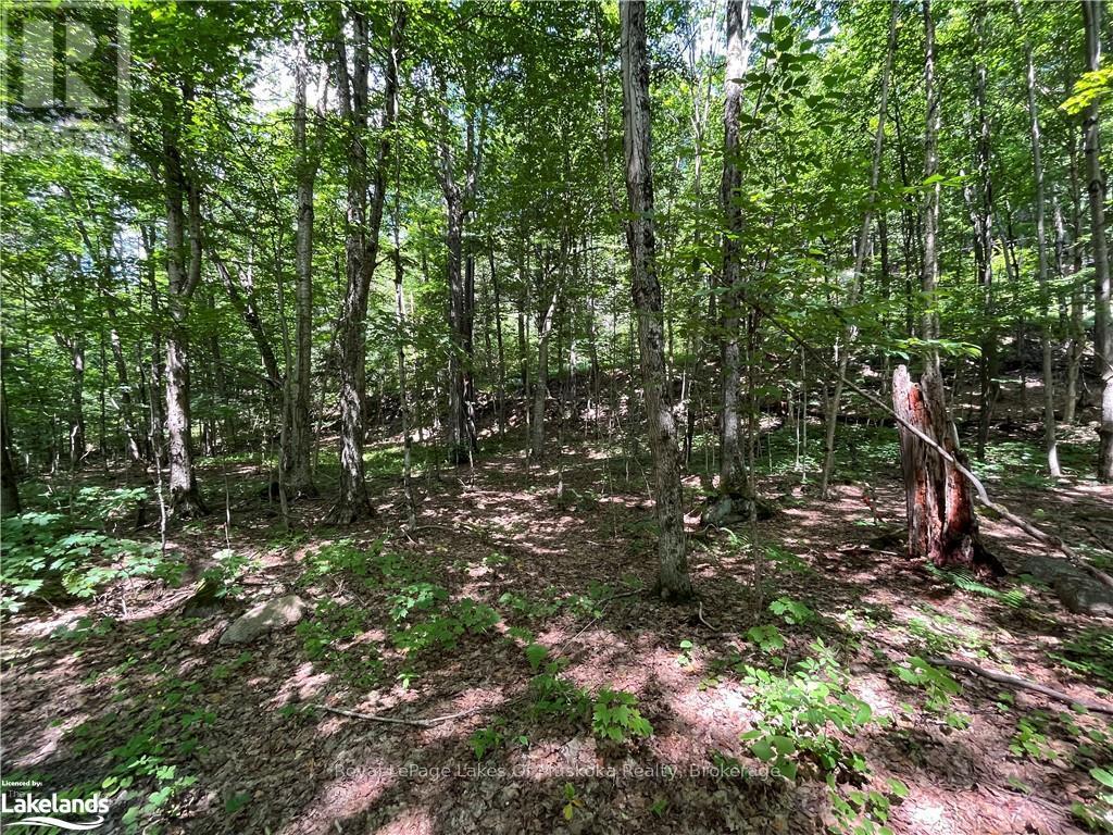 Lot 134 Brennan Circle, Huntsville, Ontario  P1H 2J2 - Photo 9 - X12063249