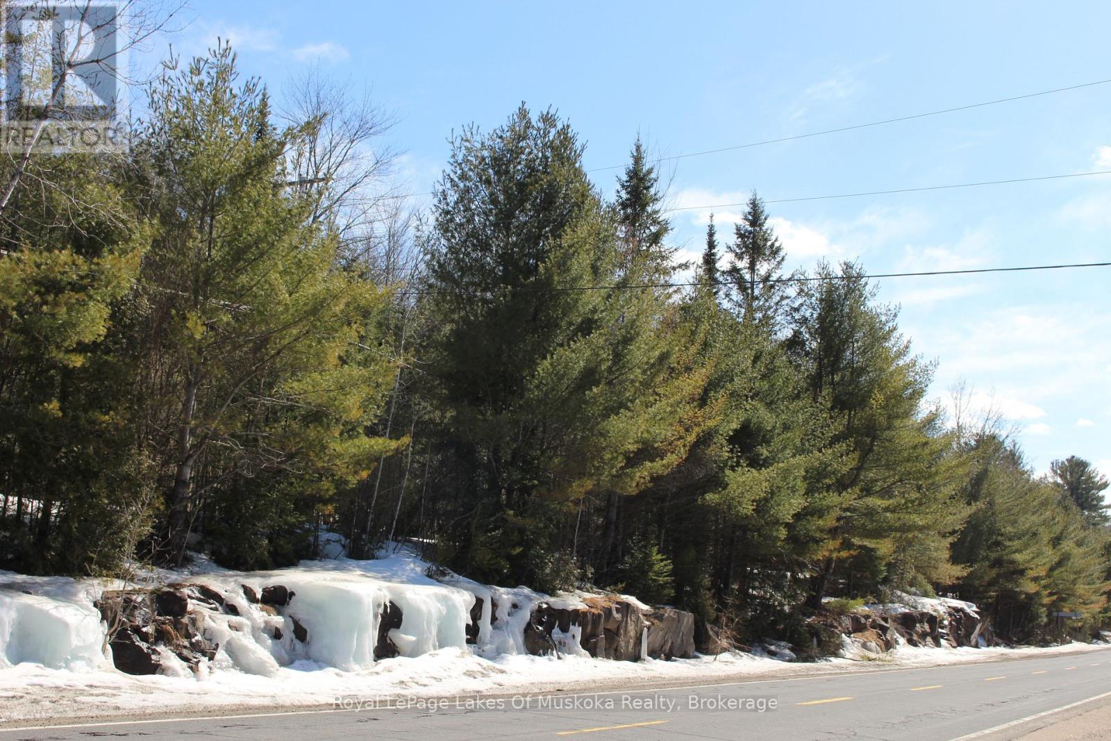 2750 Muskoka 117 Road, Lake Of Bays, Ontario  P0B 1A0 - Photo 7 - X12066404