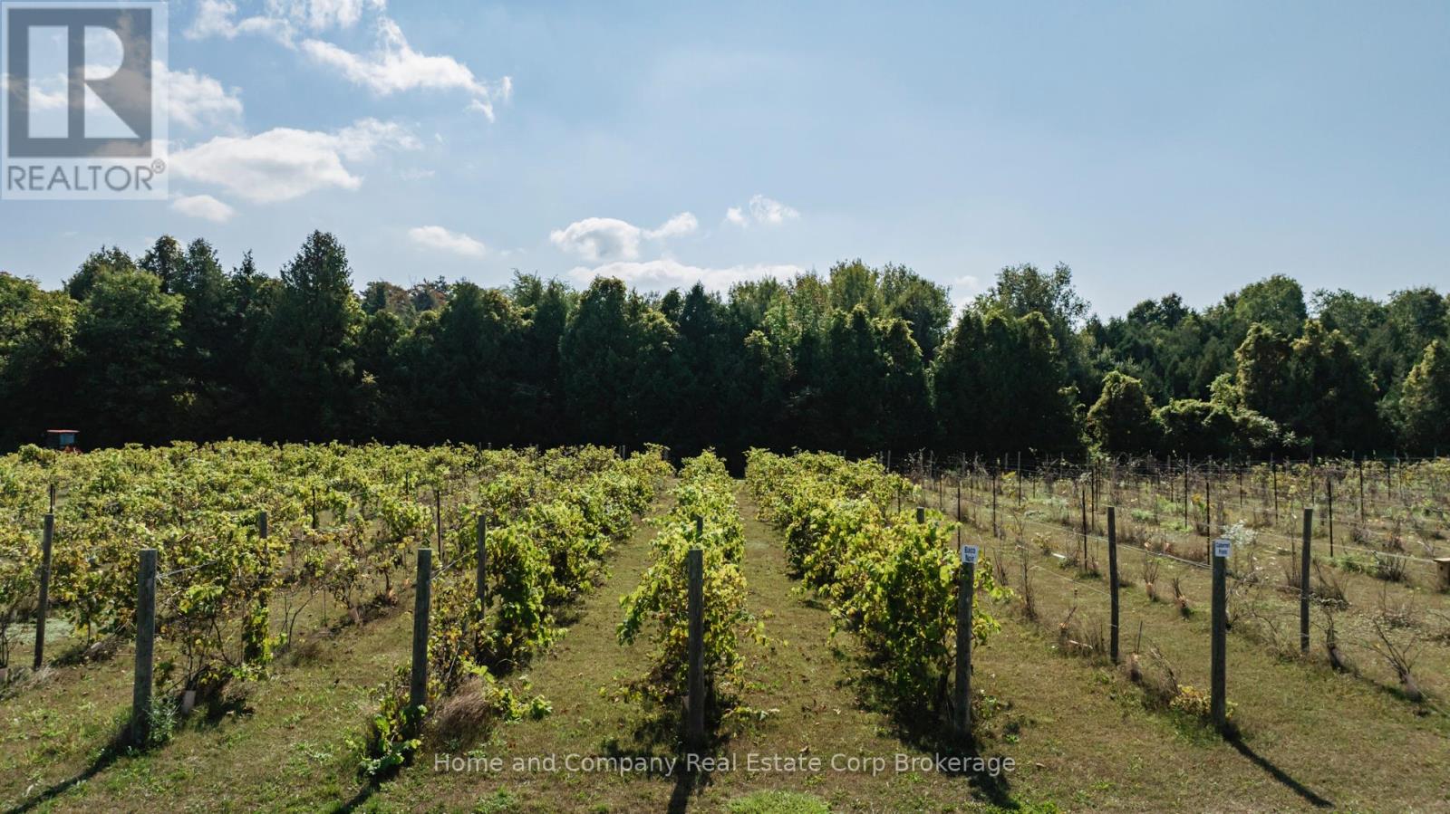 60 Deer Ridge Lane W, Bluewater, Ontario  N0M 1G0 - Photo 8 - X12066808