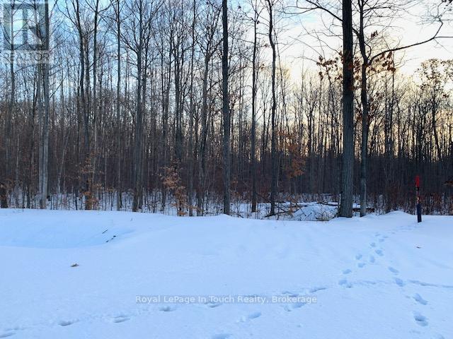 Lot 59 Whispering Pine Circle, Tiny, Ontario  L9M 0C2 - Photo 10 - S12076638