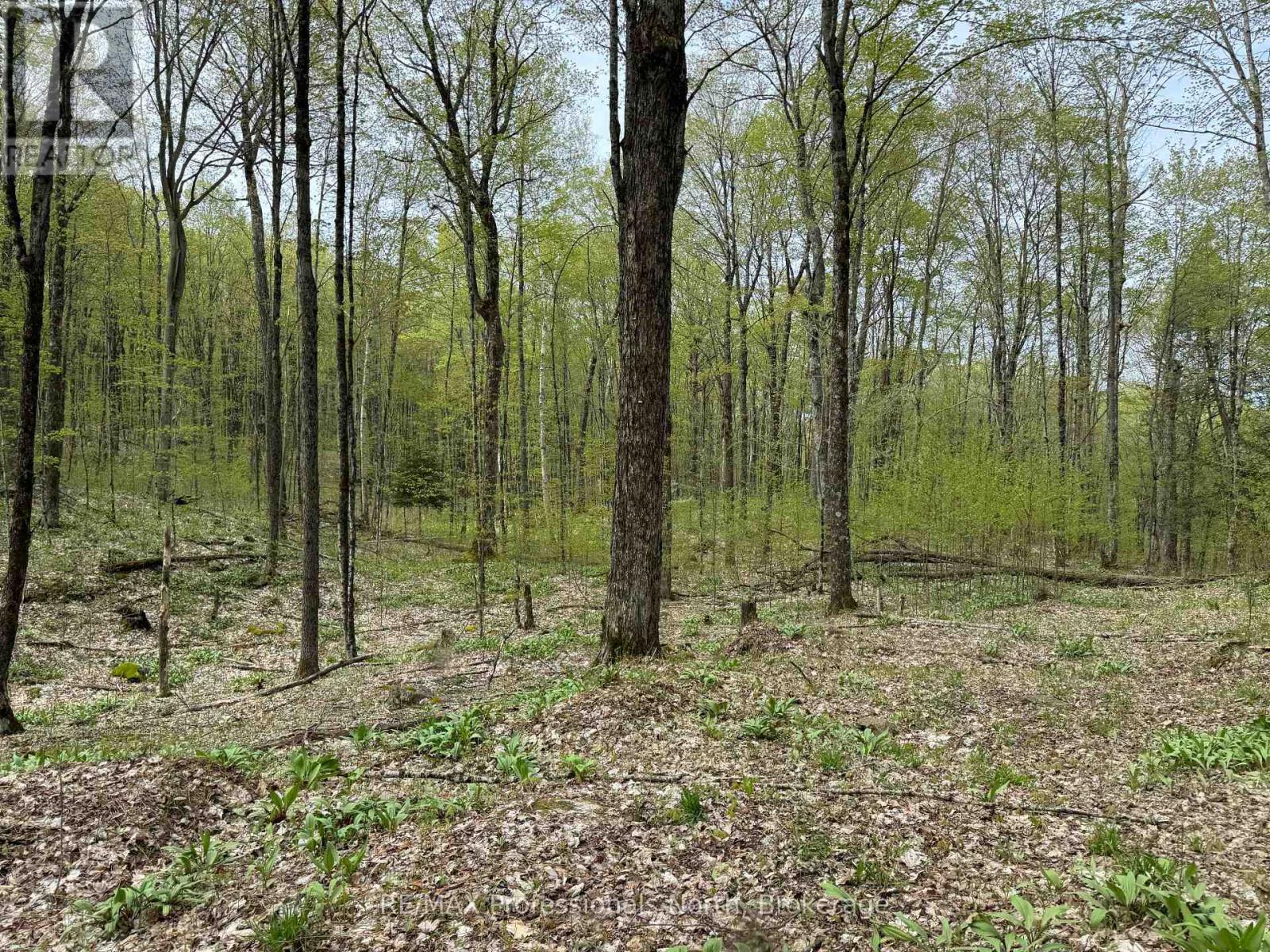 Lot 165 Glen Lake Court, Dysart Et Al, Ontario  K0M 1M0 - Photo 12 - X12084273