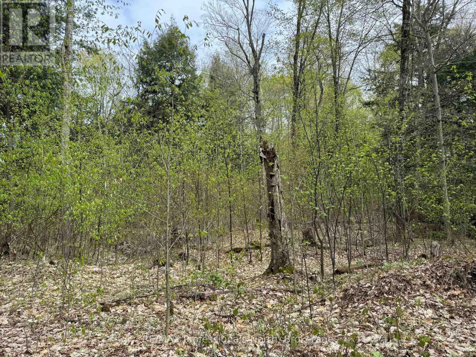 Lot 165 Glen Lake Court, Dysart Et Al, Ontario  K0M 1M0 - Photo 13 - X12084273