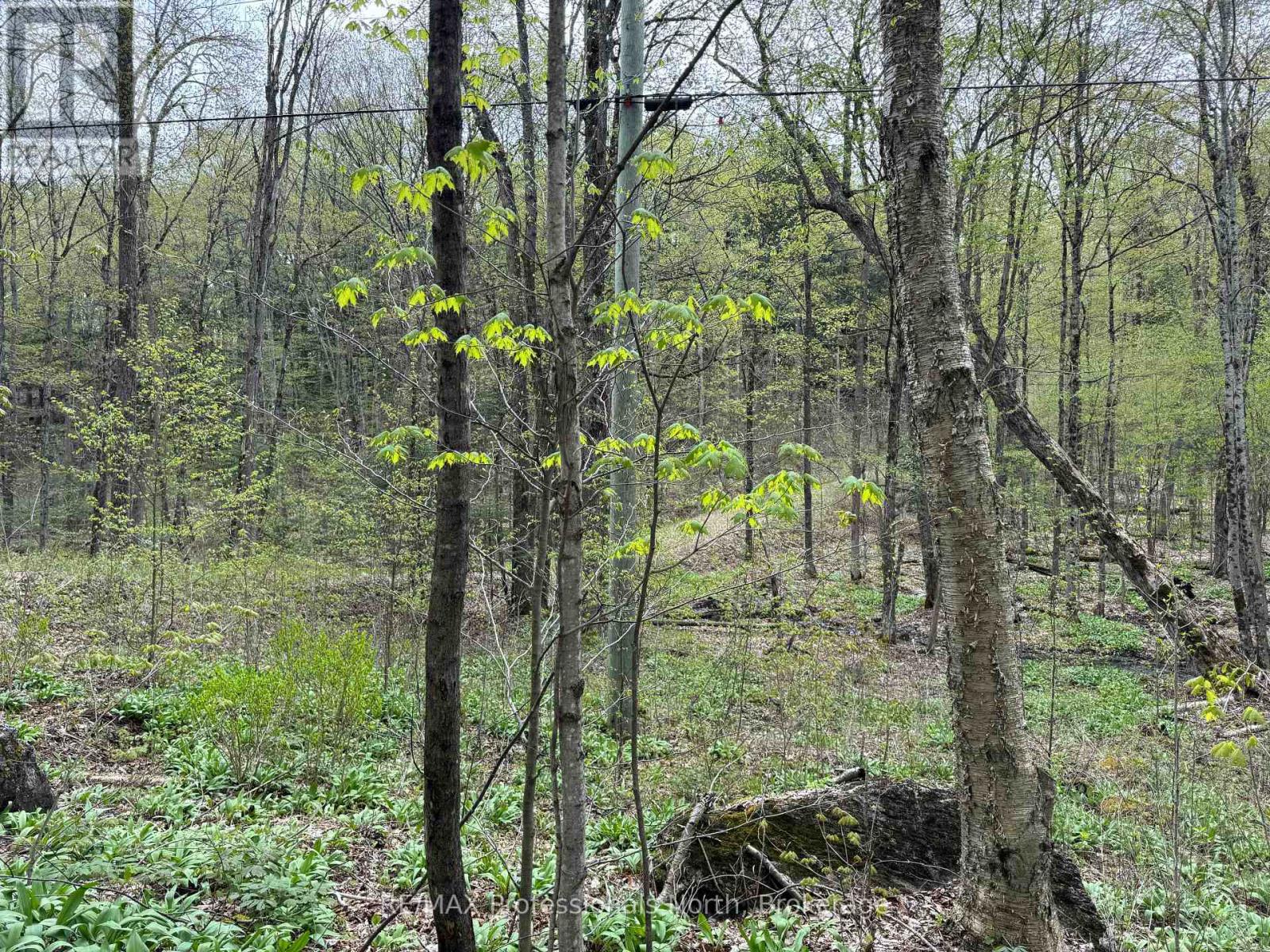 Lot 165 Glen Lake Court, Dysart Et Al, Ontario  K0M 1M0 - Photo 6 - X12084273