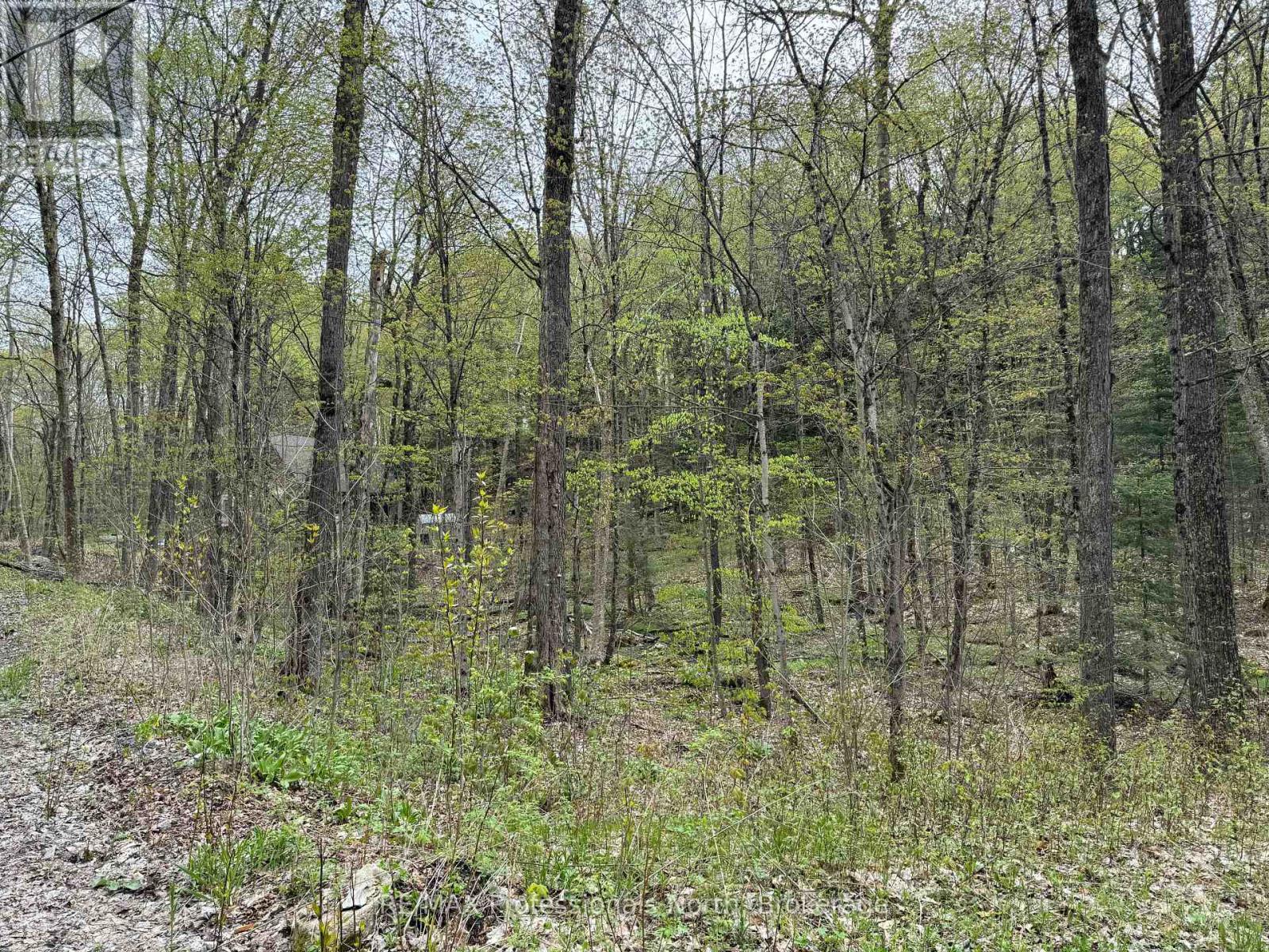Lot 165 Glen Lake Court, Dysart Et Al, Ontario  K0M 1M0 - Photo 7 - X12084273