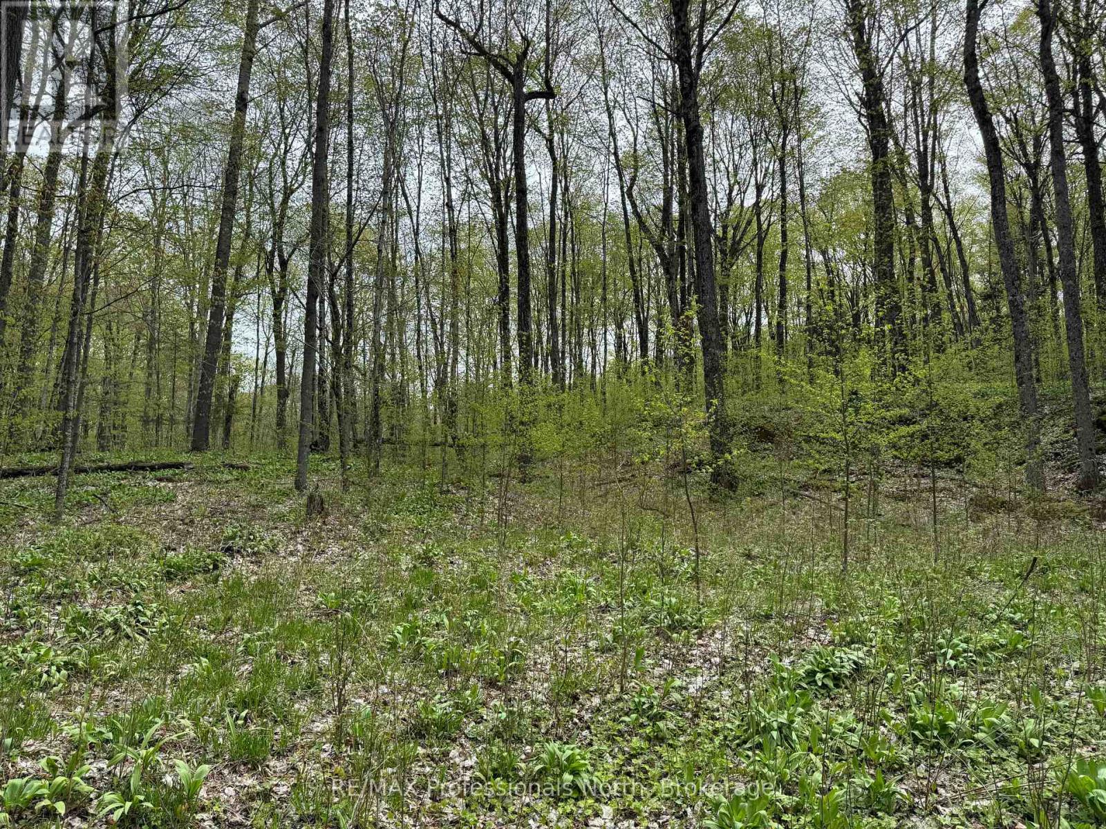 Lot 165 Glen Lake Court, Dysart Et Al, Ontario  K0M 1M0 - Photo 9 - X12084273