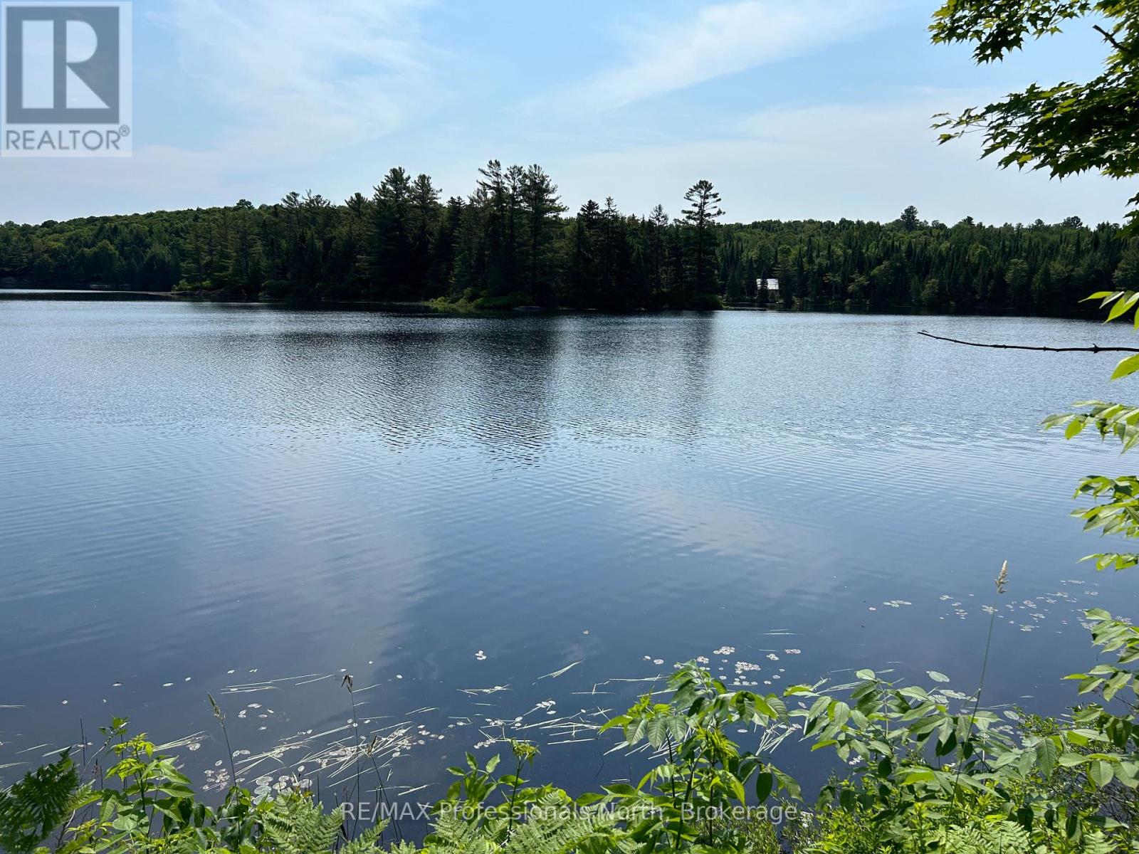 0 Brady Lake Road, Minden Hills, Ontario  K0M 2K0 - Photo 2 - X12084366