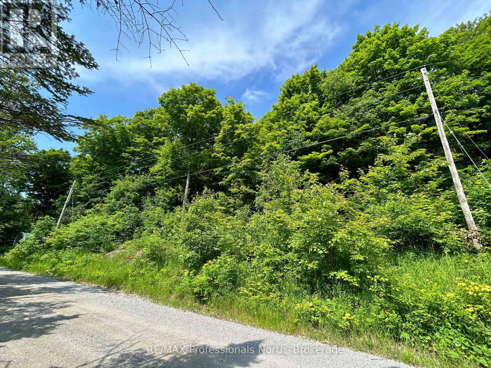 0 Brady Lake Road, Minden Hills, Ontario  K0M 2K0 - Photo 3 - X12084366
