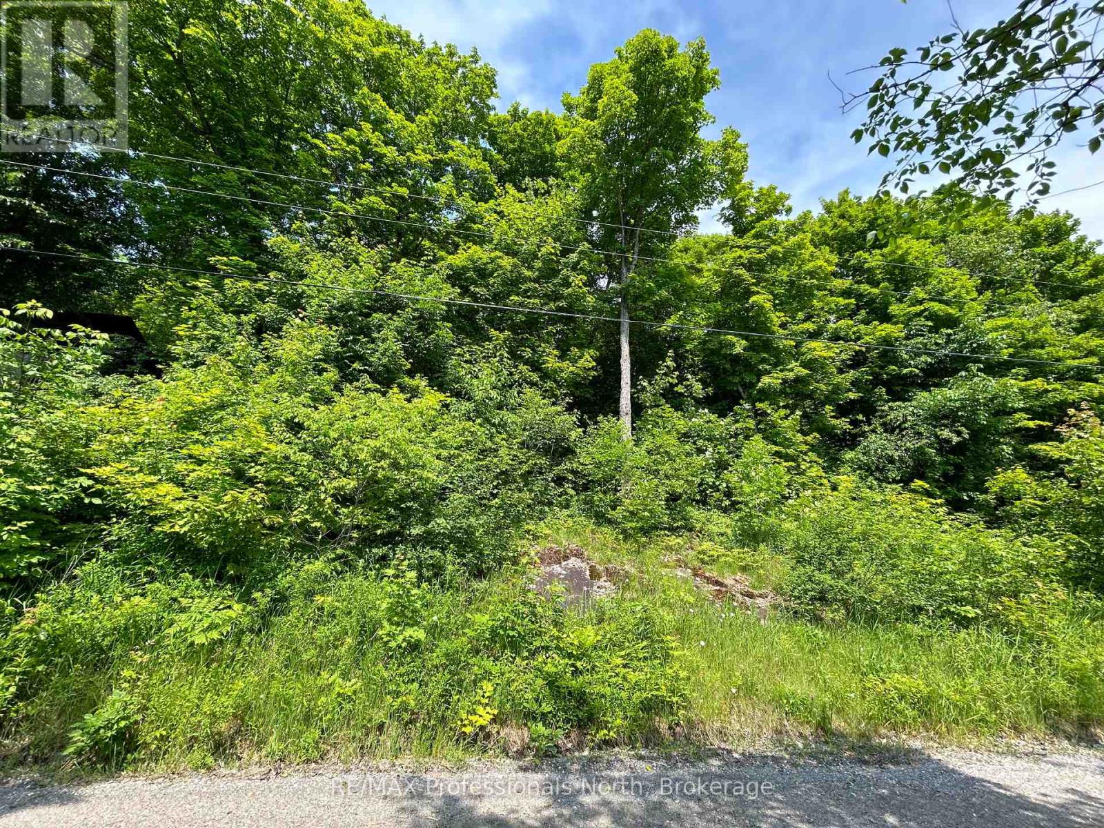 0 Brady Lake Road, Minden Hills, Ontario  K0M 2K0 - Photo 4 - X12084366