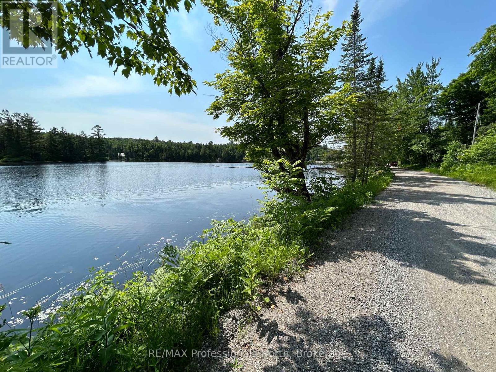 0 Brady Lake Road, Minden Hills, Ontario  K0M 2K0 - Photo 5 - X12084366
