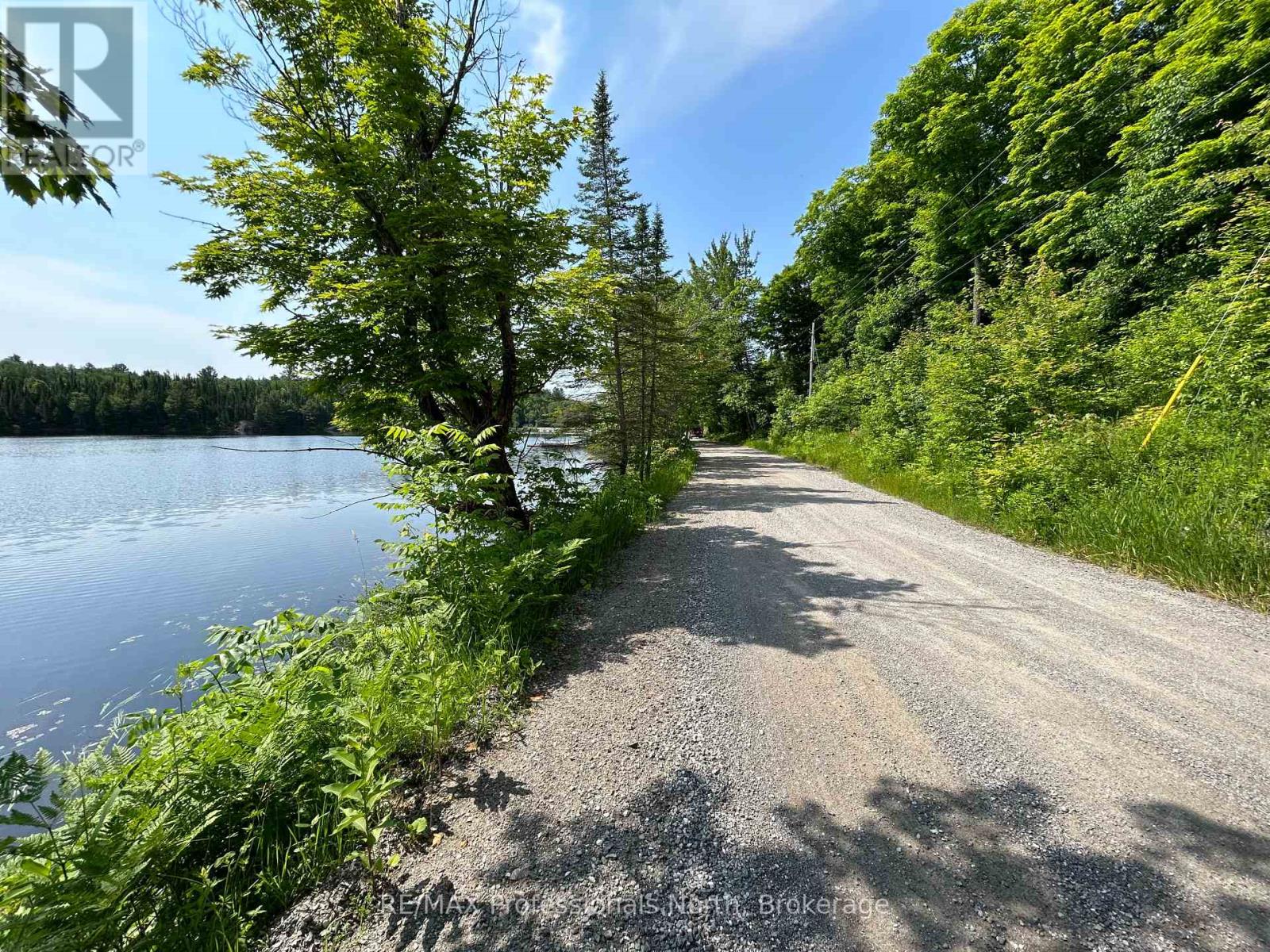 0 Brady Lake Road, Minden Hills, Ontario  K0M 2K0 - Photo 6 - X12084366