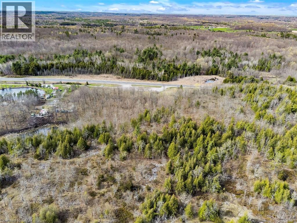 105400 Highway 7, Madoc, Ontario  K0K 2K0 - Photo 13 - 40717428