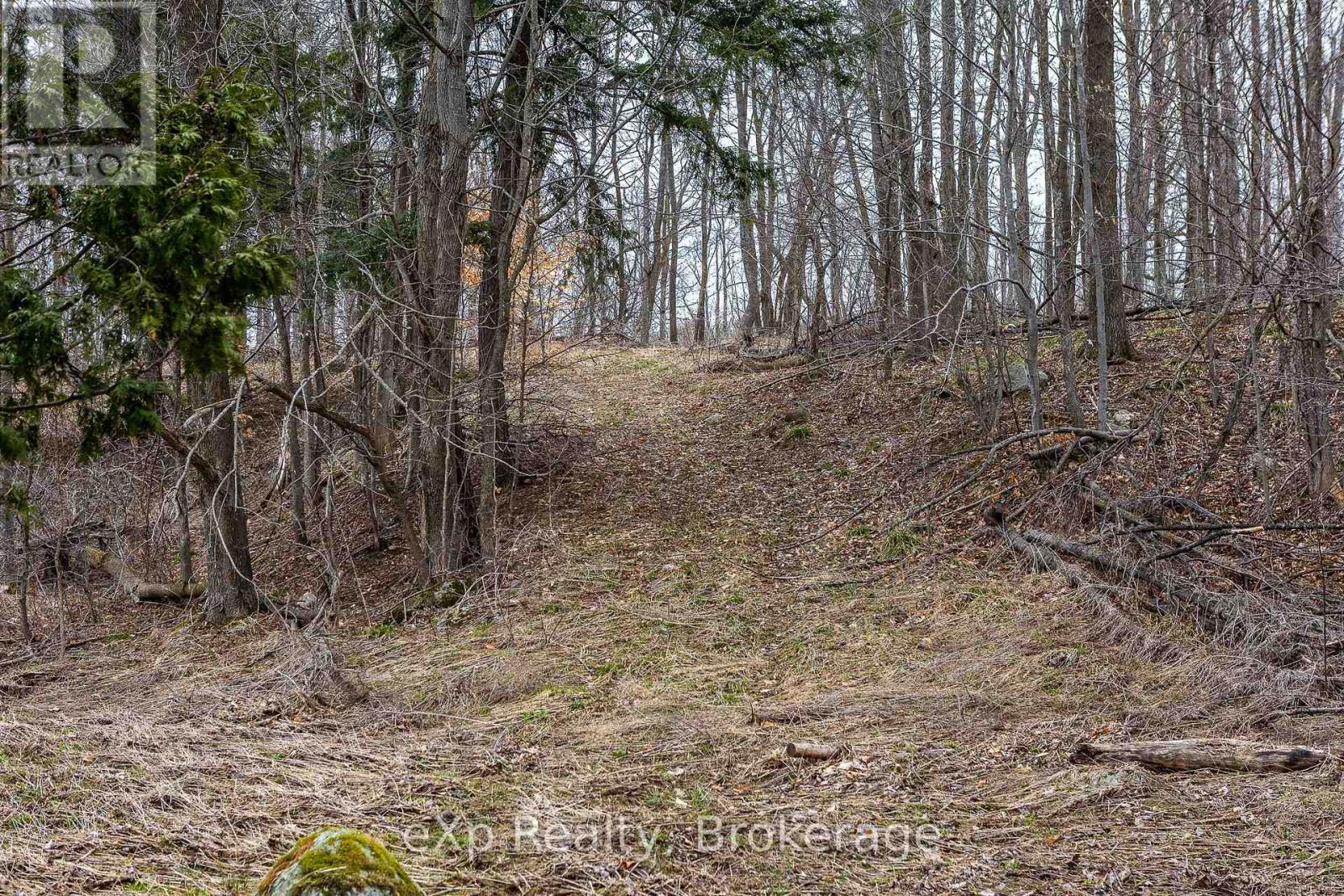 E 1/2 Lt 29-30 Con 4; Sideroad 30, Meaford, Ontario  N0H 1B0 - Photo 35 - X12089001