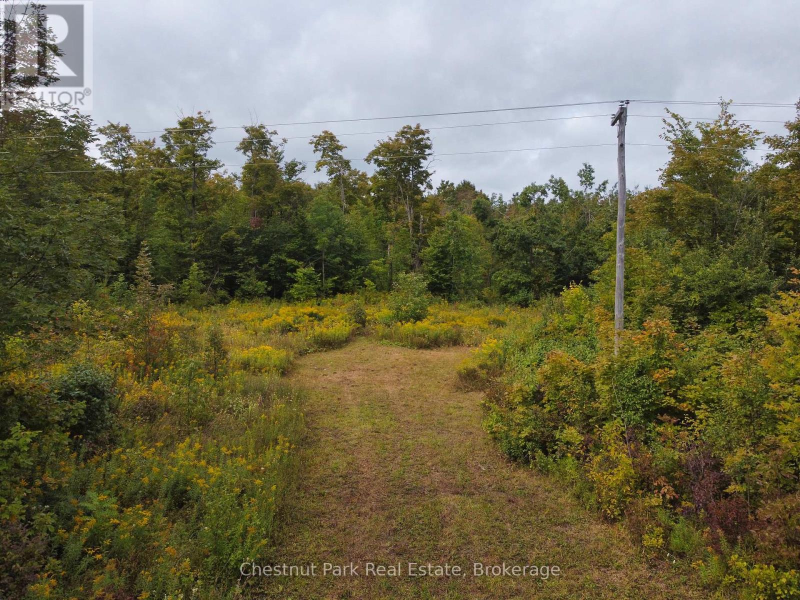 249 Wrights Crescent, South Bruce Peninsula, Ontario  N0H 2T0 - Photo 5 - X12091988