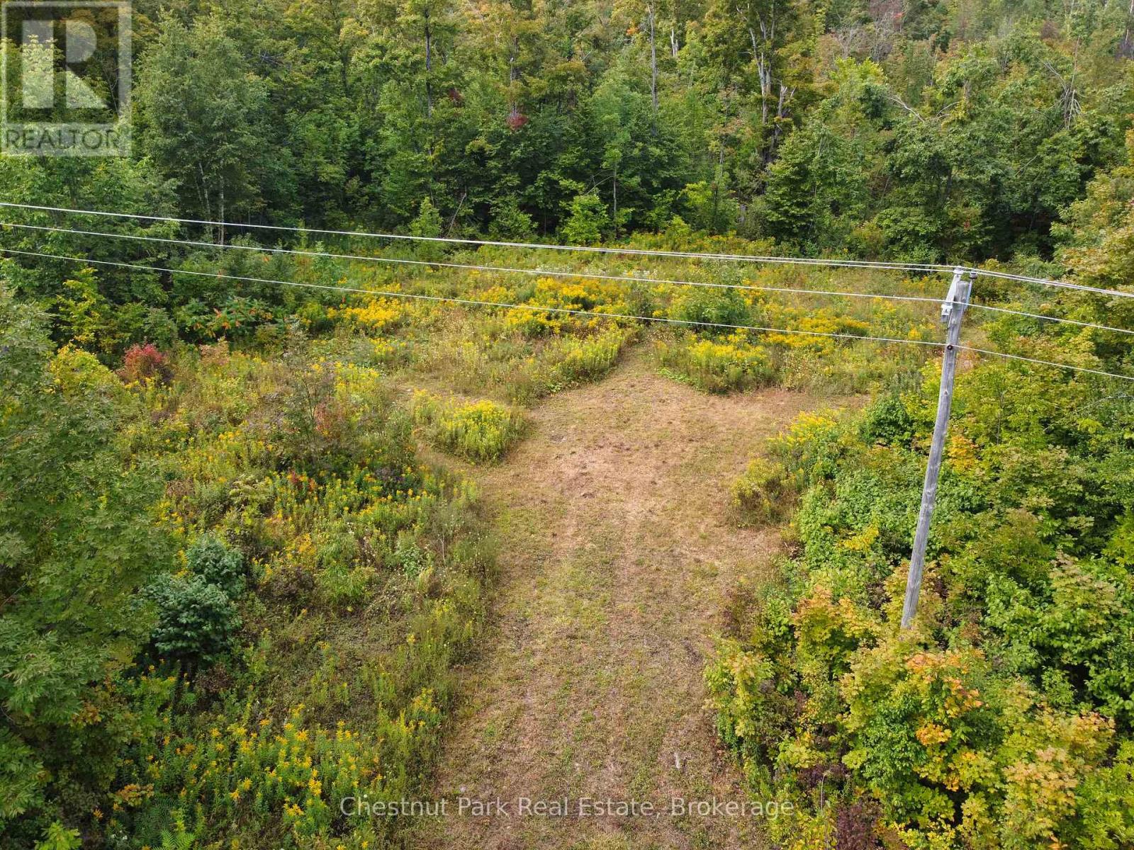 249 Wrights Crescent, South Bruce Peninsula, Ontario  N0H 2T0 - Photo 6 - X12091988