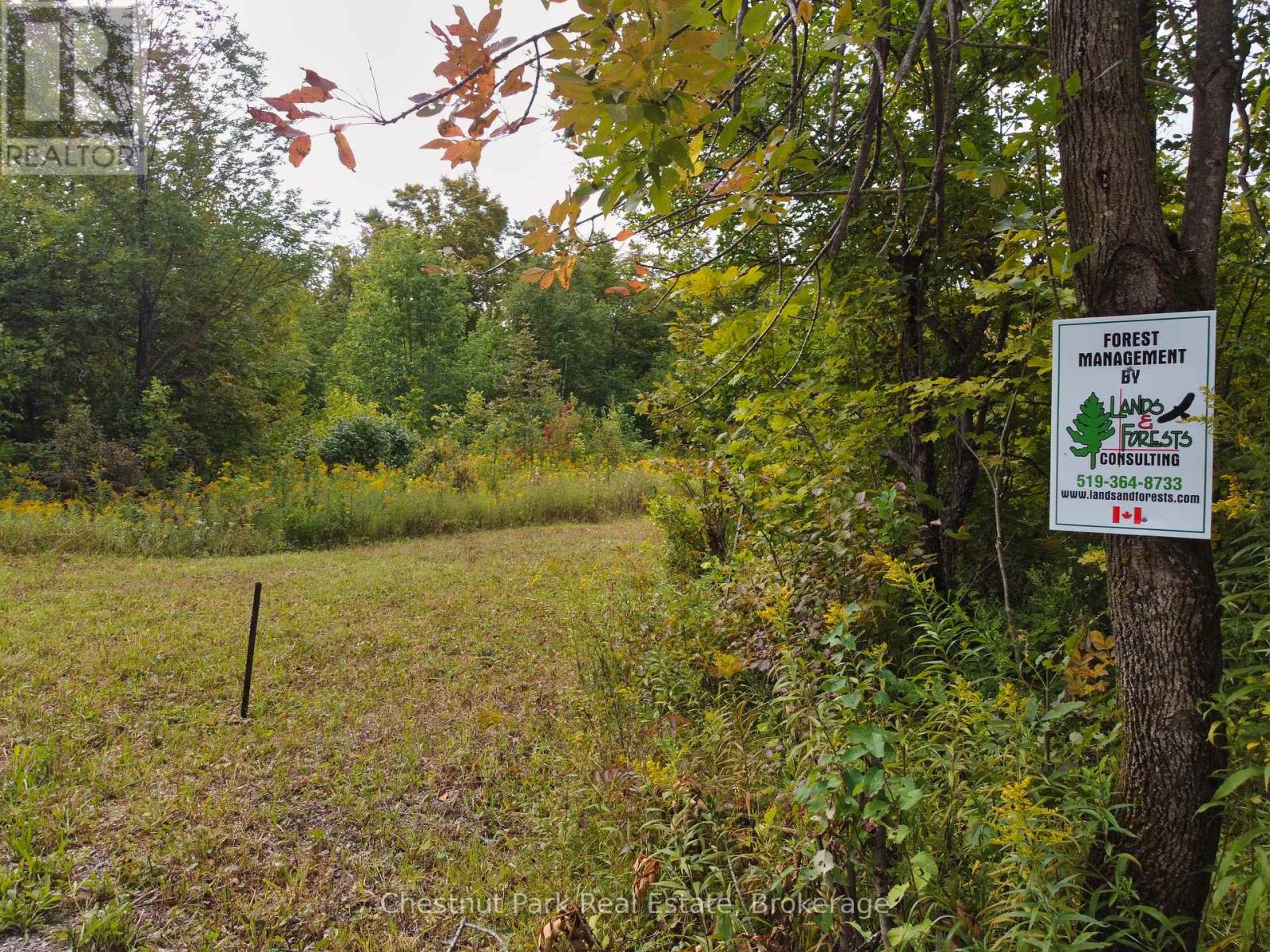 249 Wrights Crescent, South Bruce Peninsula, Ontario  N0H 2T0 - Photo 7 - X12091988