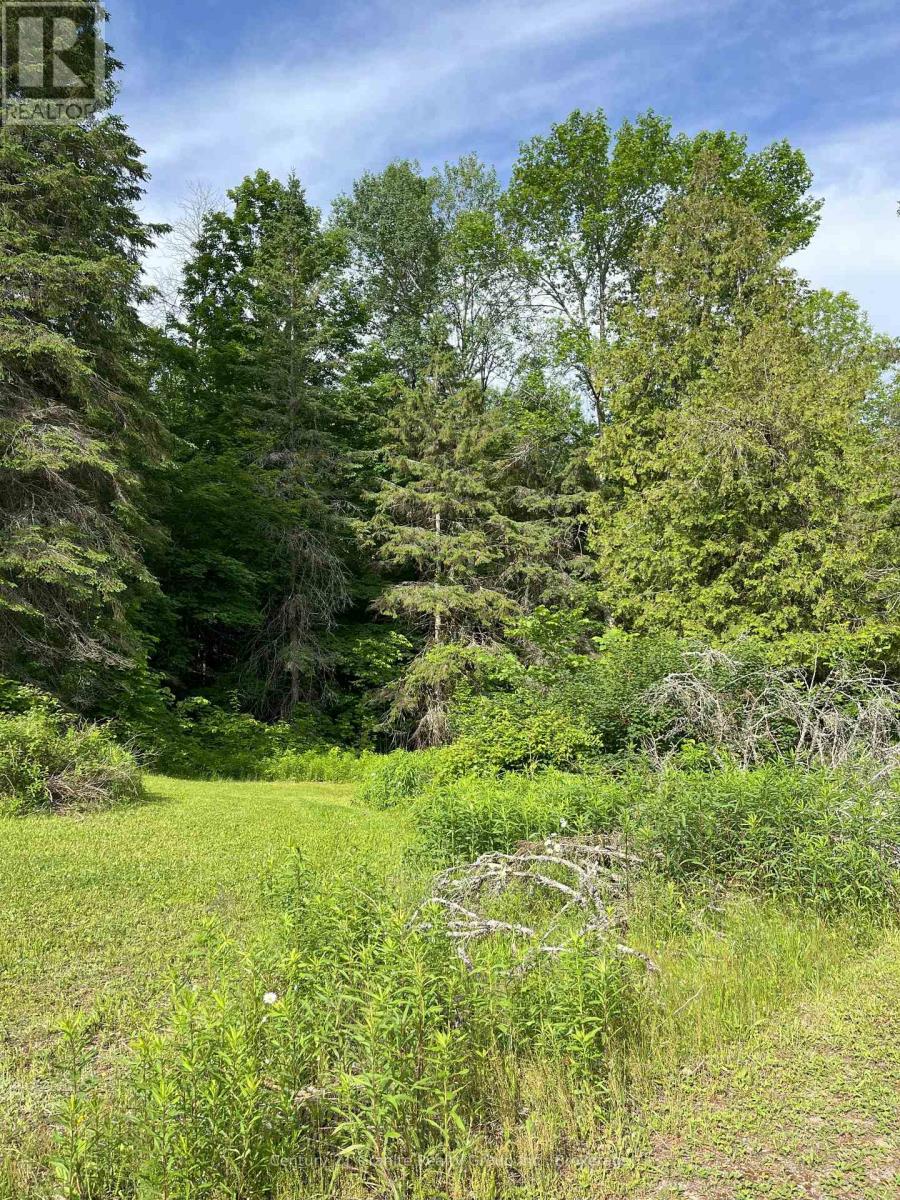 1329 Duck Lake Road, Minden Hills, Ontario  K0M 2K0 - Photo 13 - X12095590