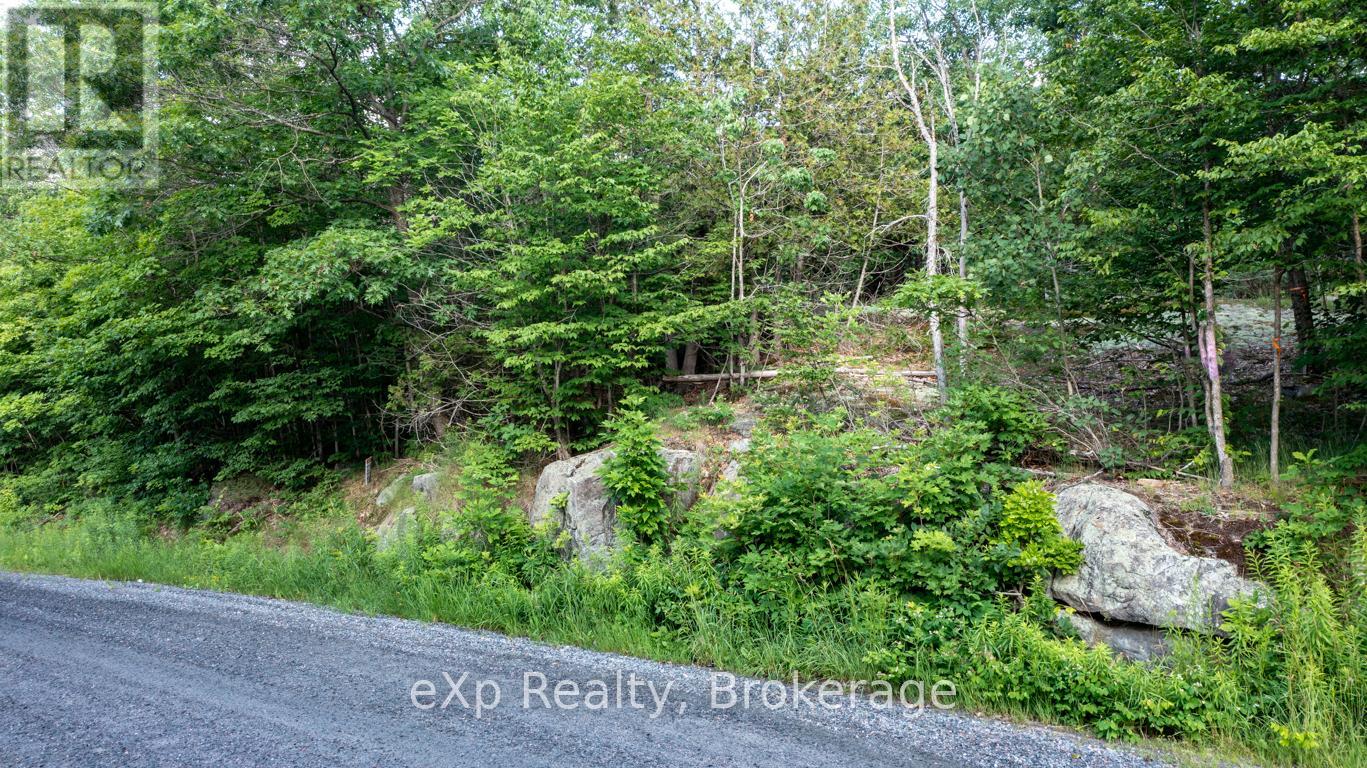0 Spring Hill Road, Mckellar, Ontario  P0G 1C0 - Photo 2 - X12096355