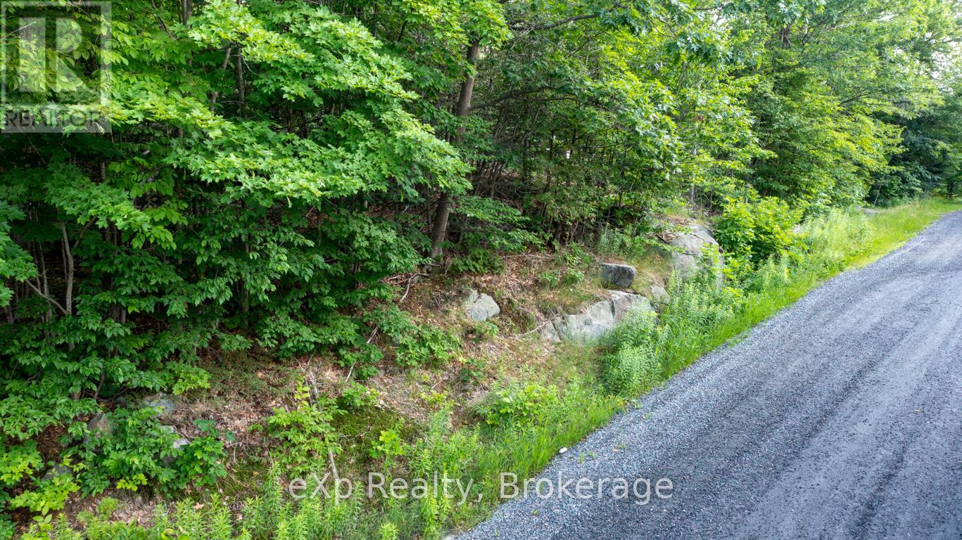 0 Spring Hill Road, Mckellar, Ontario  P0G 1C0 - Photo 3 - X12096355