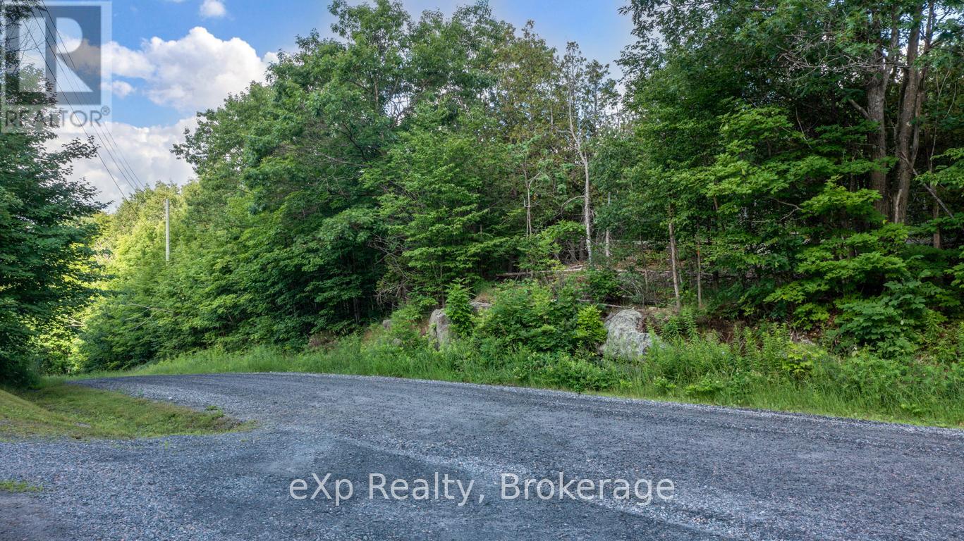 0 Spring Hill Road, Mckellar, Ontario  P0G 1C0 - Photo 7 - X12096355
