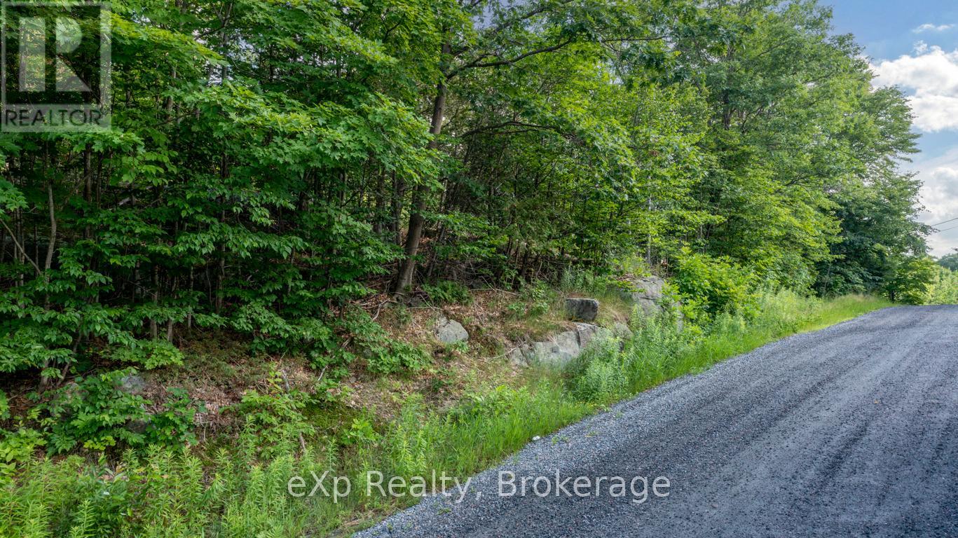 0 Spring Hill Road, Mckellar, Ontario  P0G 1C0 - Photo 8 - X12096355