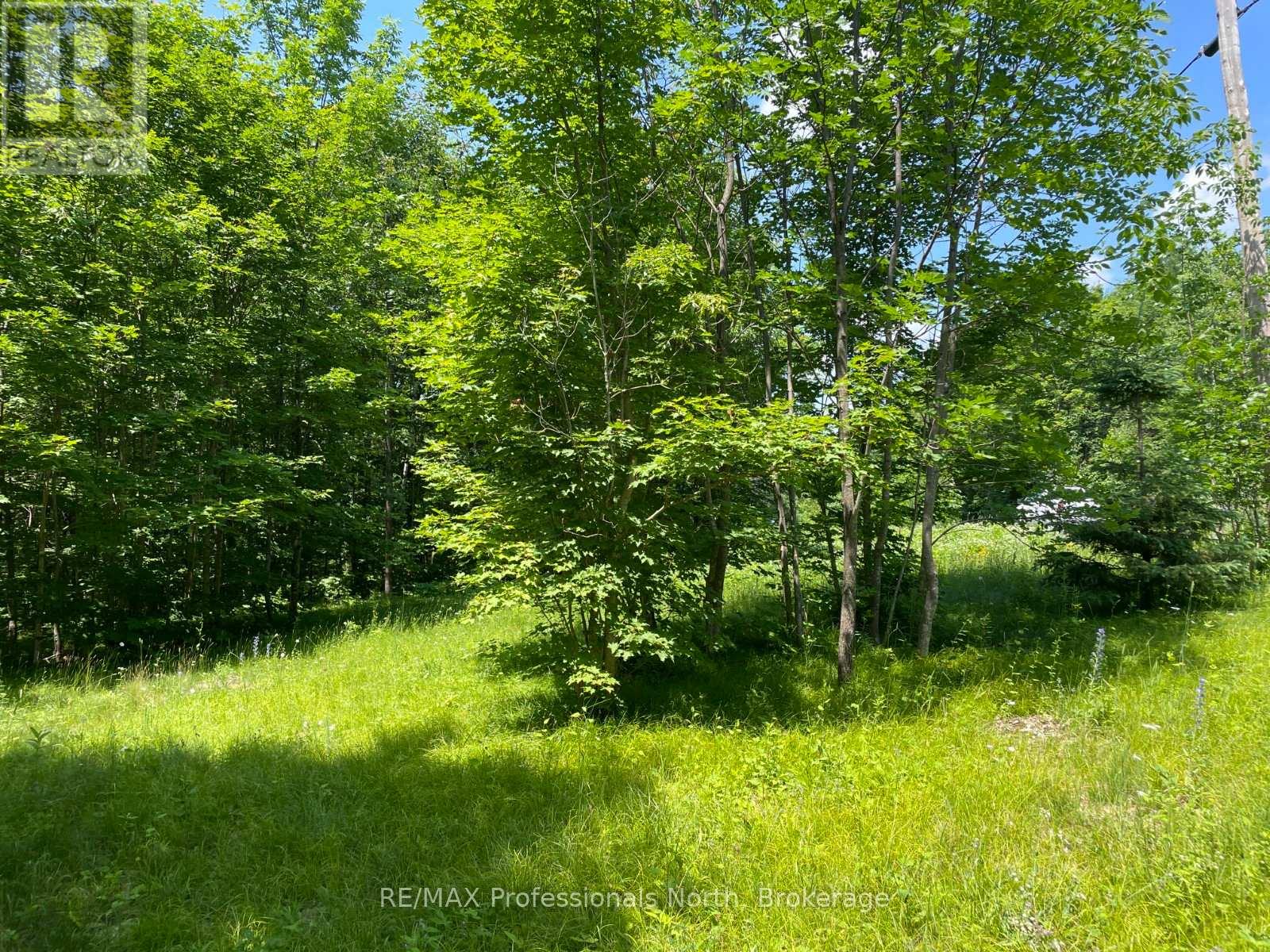 0 Glamor Lake Road, Highlands East, Ontario  K0M 1R0 - Photo 5 - X12096742