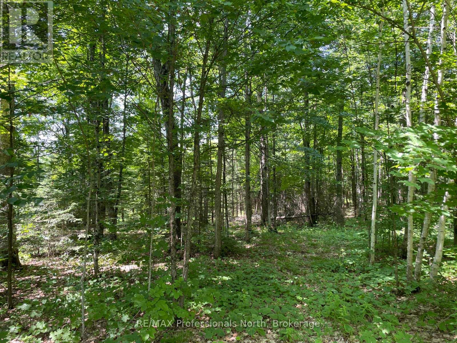 0 Glamor Lake Road, Highlands East, Ontario  K0M 1R0 - Photo 6 - X12096742