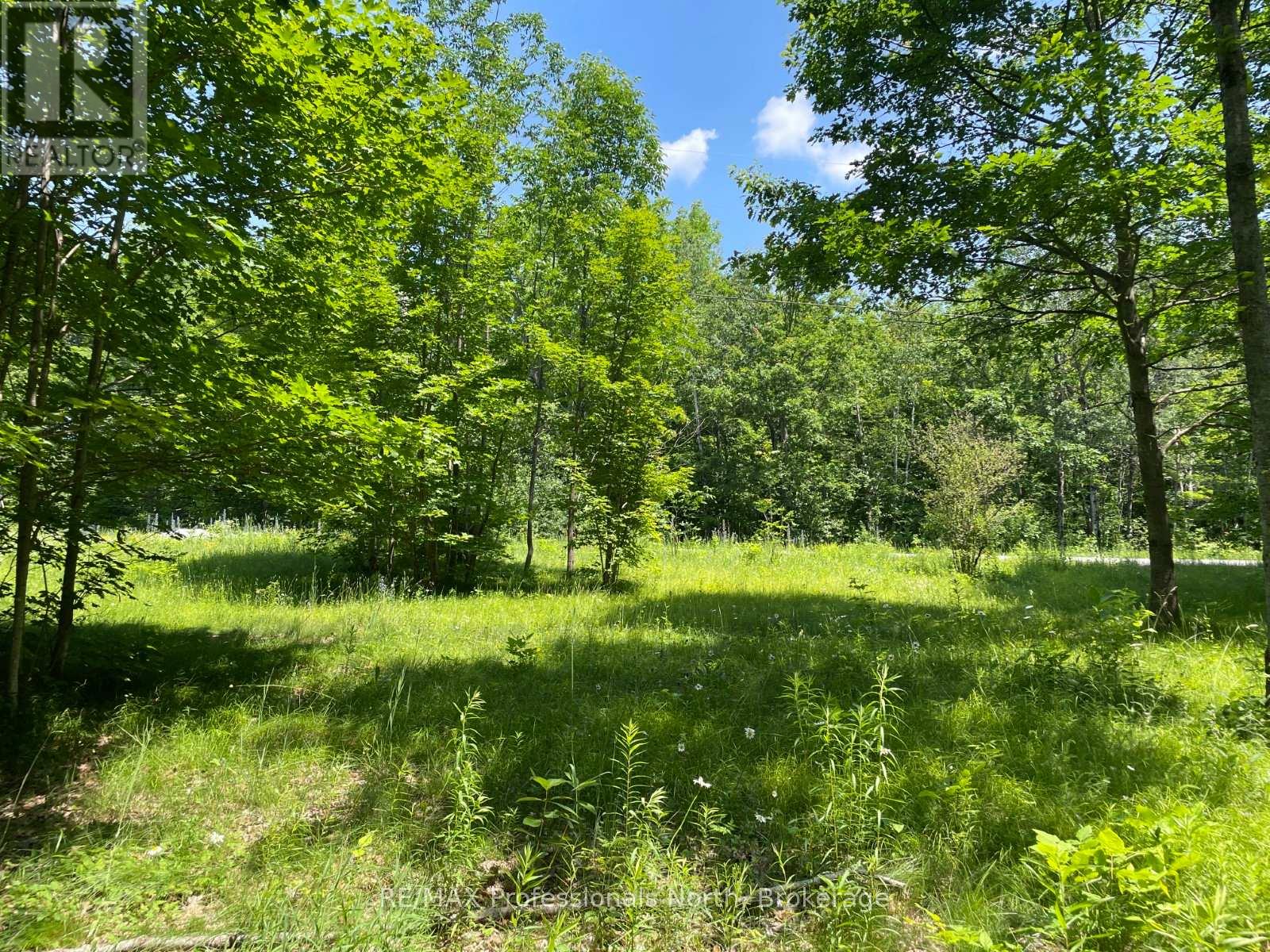 0 Glamor Lake Road, Highlands East, Ontario  K0M 1R0 - Photo 7 - X12096742