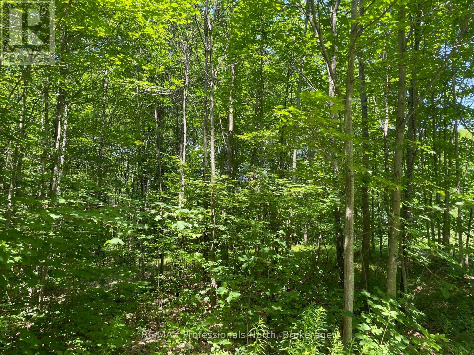 0 Glamor Lake Road, Highlands East, Ontario  K0M 1R0 - Photo 8 - X12096742