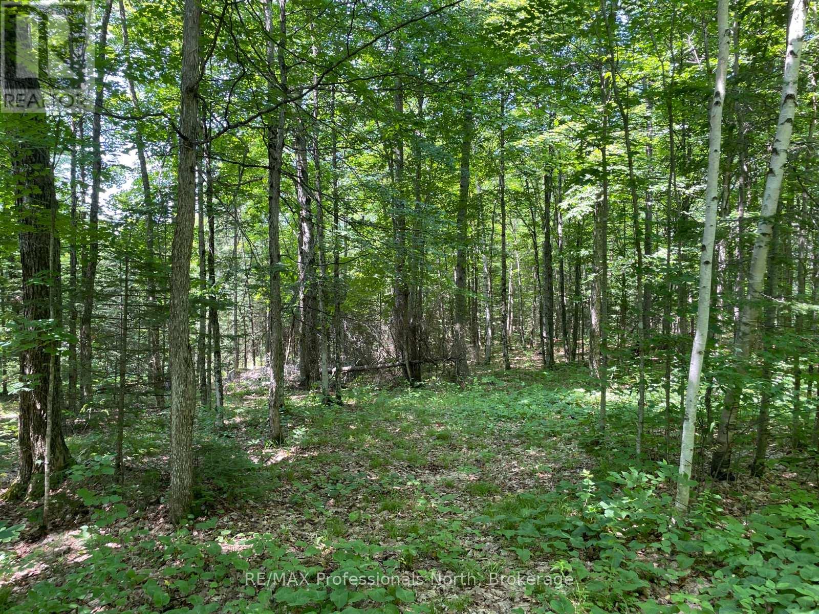 0 Glamor Lake Road, Highlands East, Ontario  K0M 1R0 - Photo 9 - X12096742