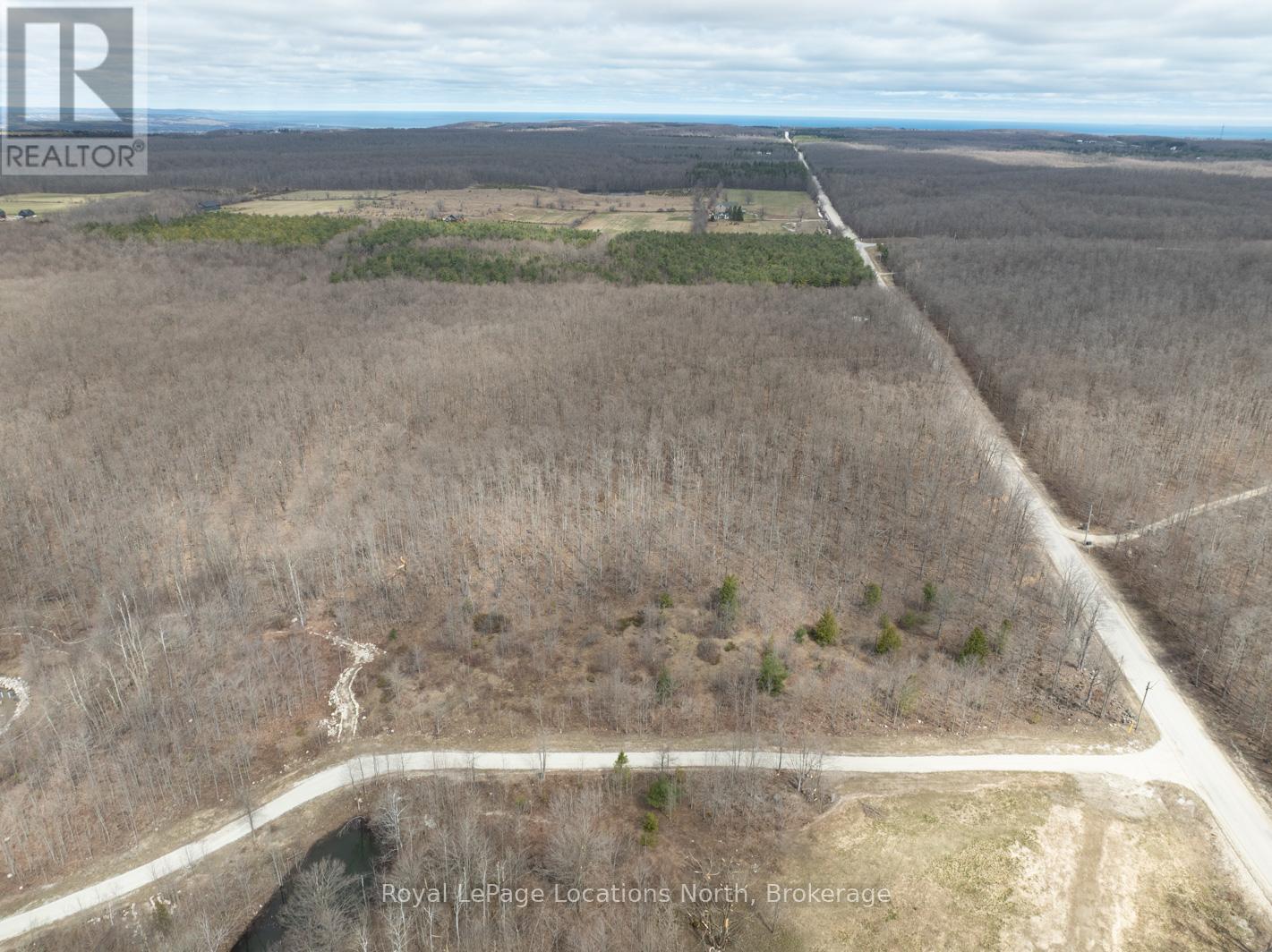 0 4th Line, Blue Mountains, Ontario  N0H 2E0 - Photo 9 - X12097864