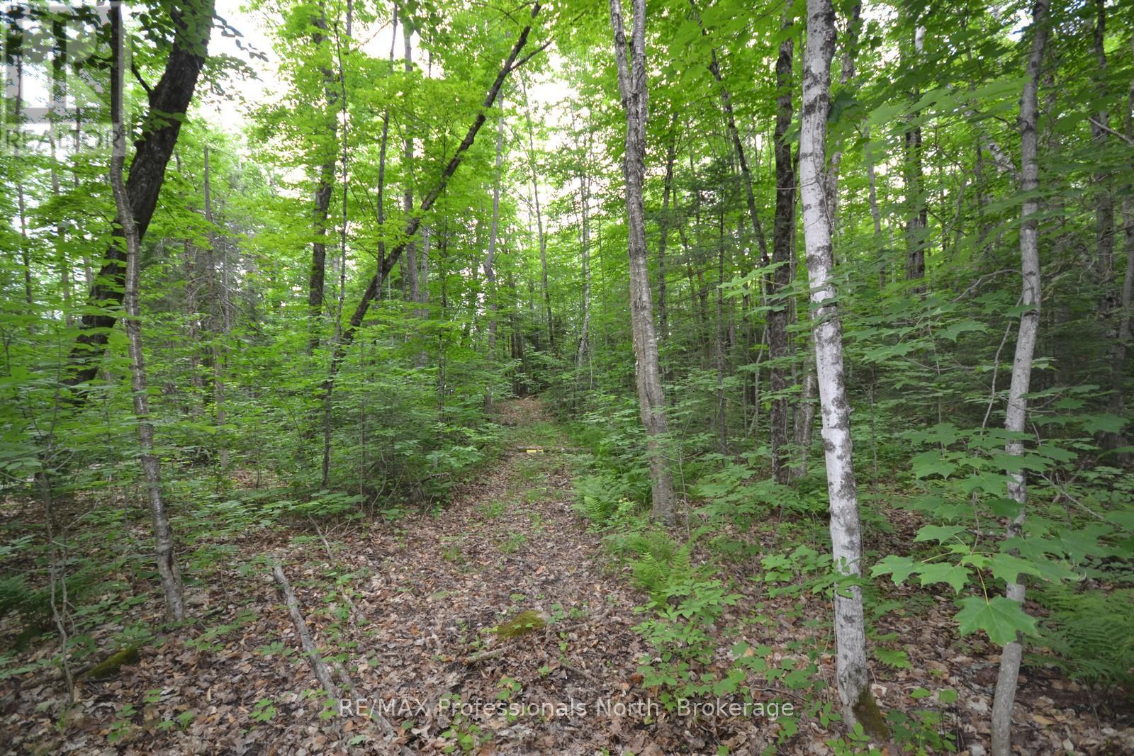 0 Harburn Road, Dysart Et Al, Ontario  K0M 1S0 - Photo 17 - X12099433