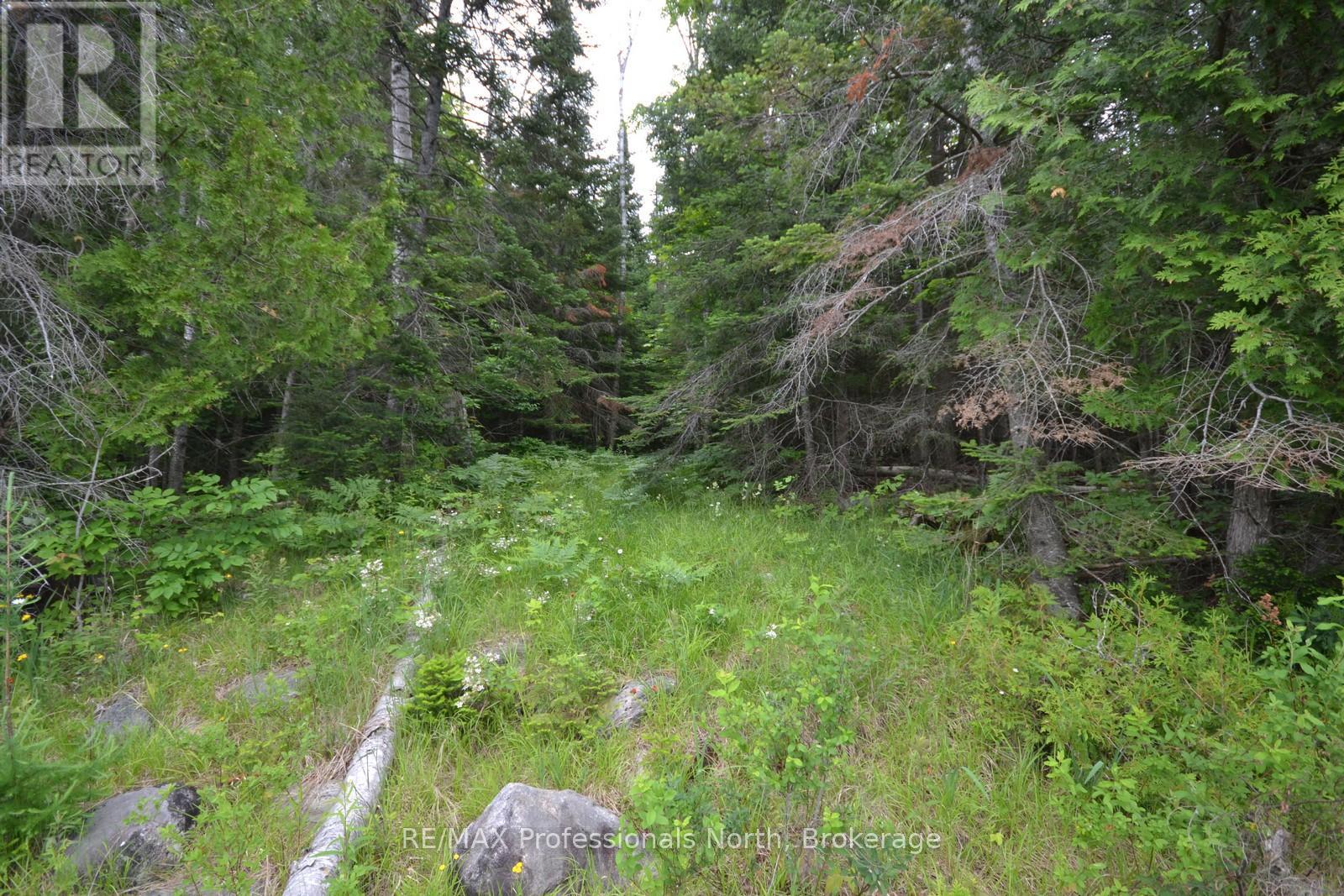 0 Harburn Road, Dysart Et Al, Ontario  K0M 1S0 - Photo 28 - X12099433