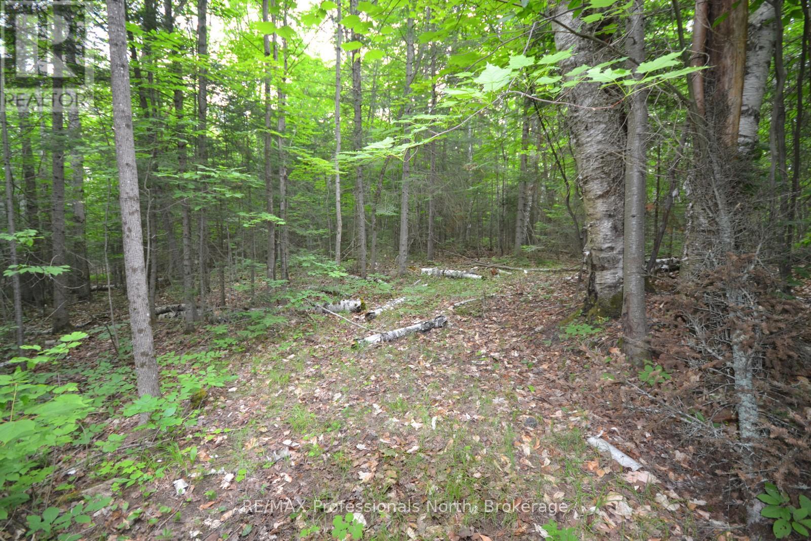 0 Harburn Road, Dysart Et Al, Ontario  K0M 1S0 - Photo 29 - X12099433