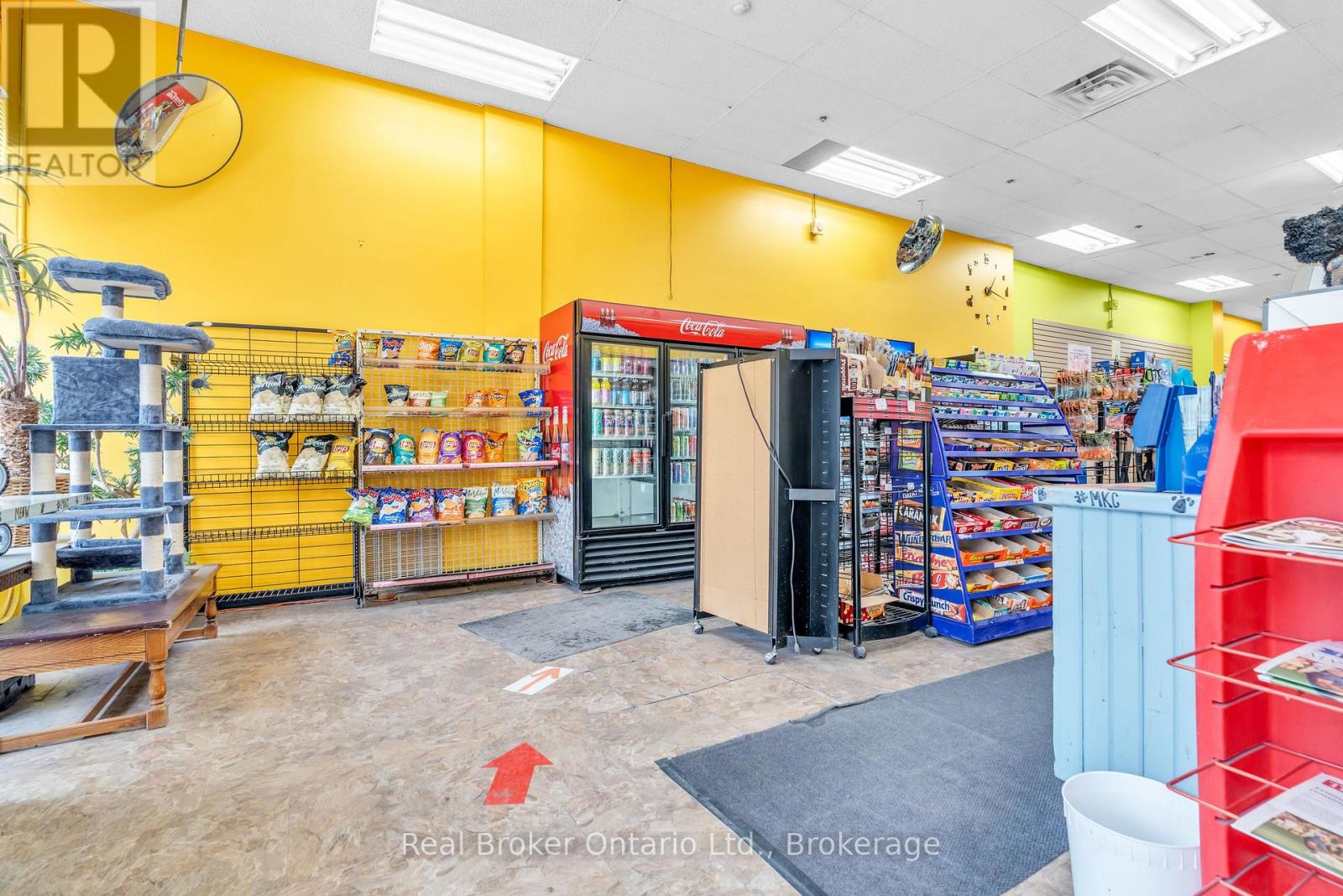 117 Wyndham Street N, Guelph, Ontario  N1H 4E9 - Photo 4 - X12101052
