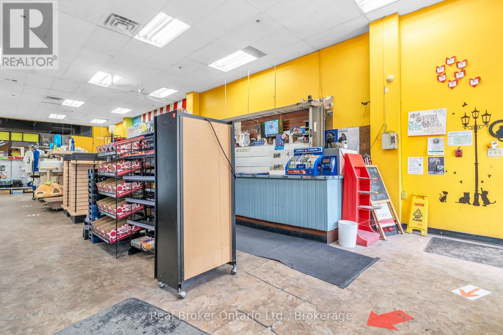 117 Wyndham Street N, Guelph, Ontario  N1H 4E9 - Photo 5 - X12101052