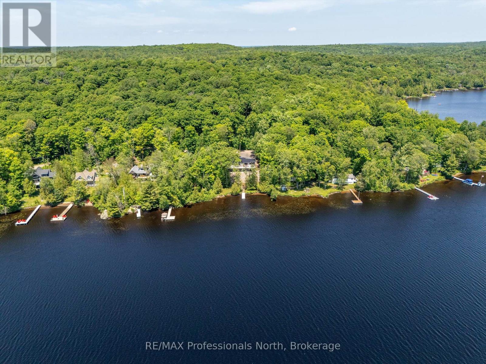 1073 Watson Road, Lake Of Bays, Ontario  P0B 0A3 - Photo 30 - X12101372