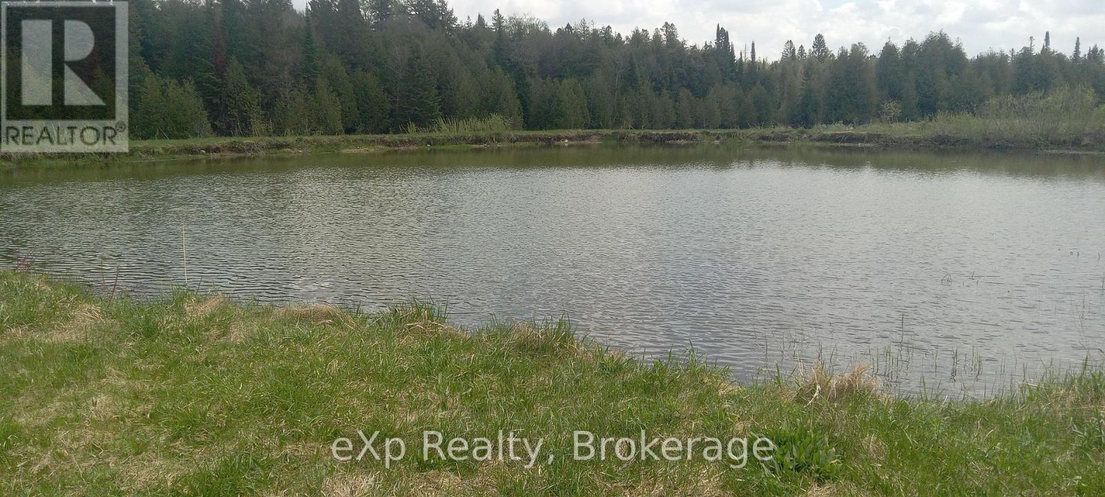 302350 Concession 2 Side Road, West Grey, Ontario  N4N 3B8 - Photo 6 - X12102040