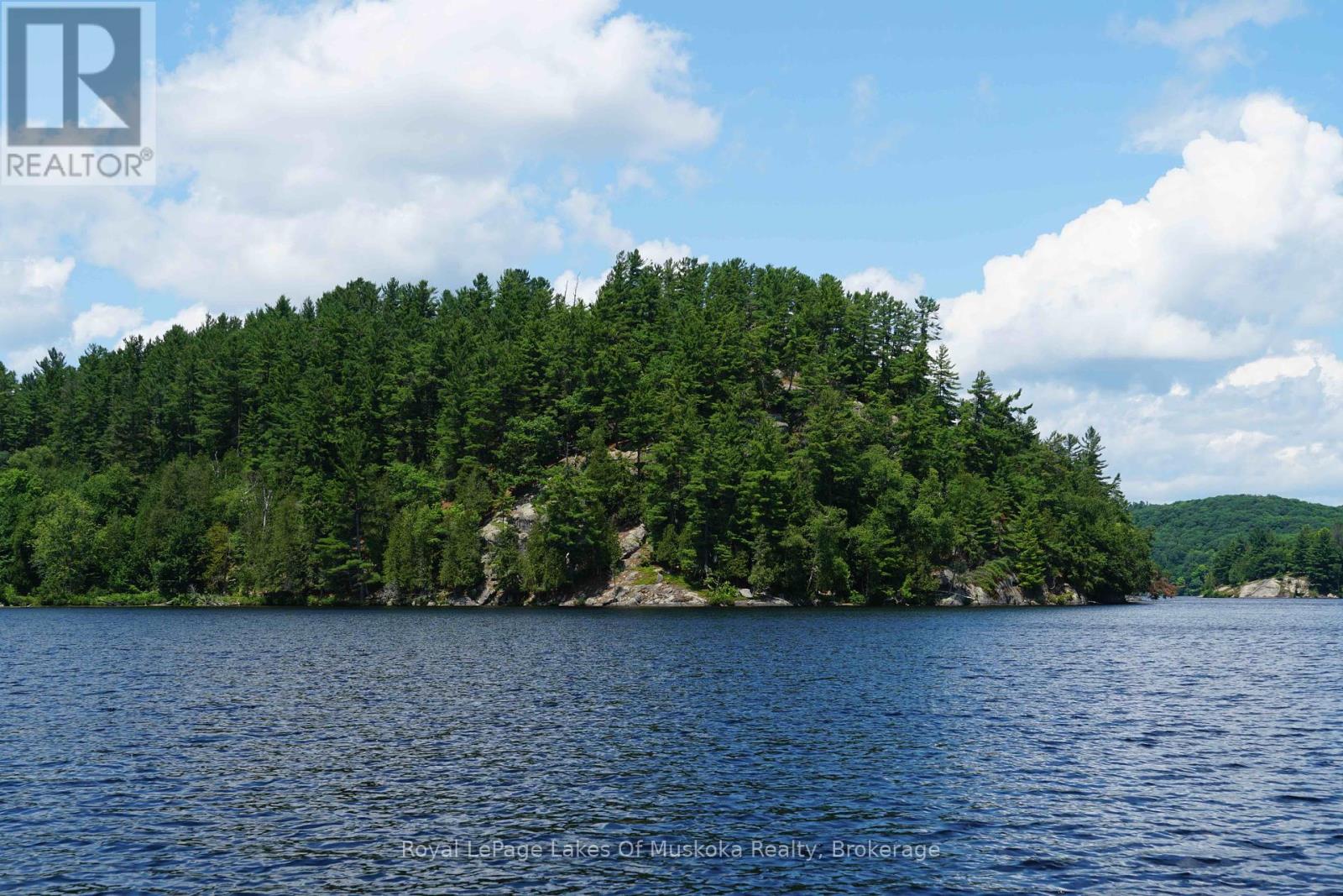 29 Thorburn Lane, Huntsville, Ontario  P1H 0C3 - Photo 10 - X12106255