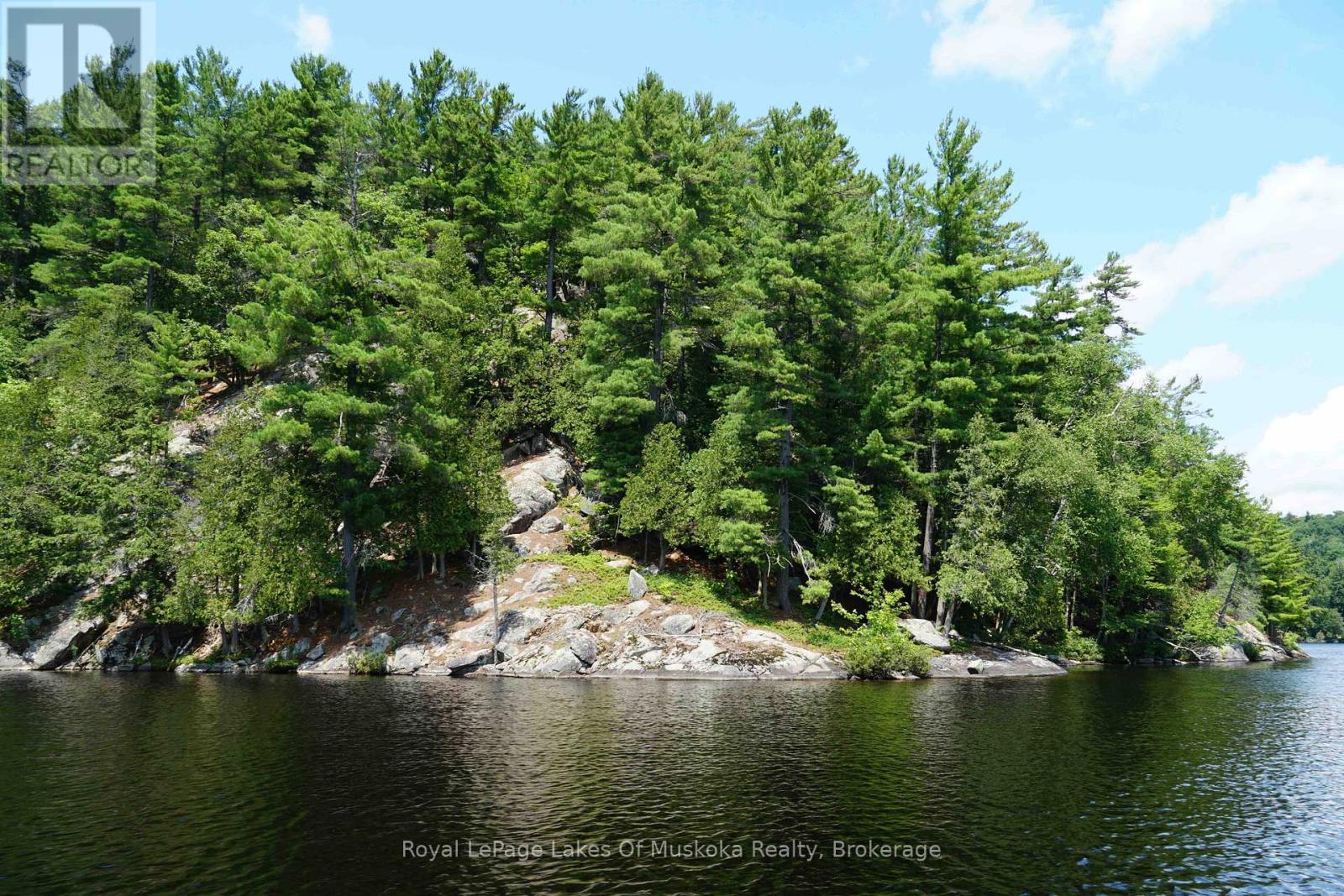 29 Thorburn Lane, Huntsville, Ontario  P1H 0C3 - Photo 11 - X12106255