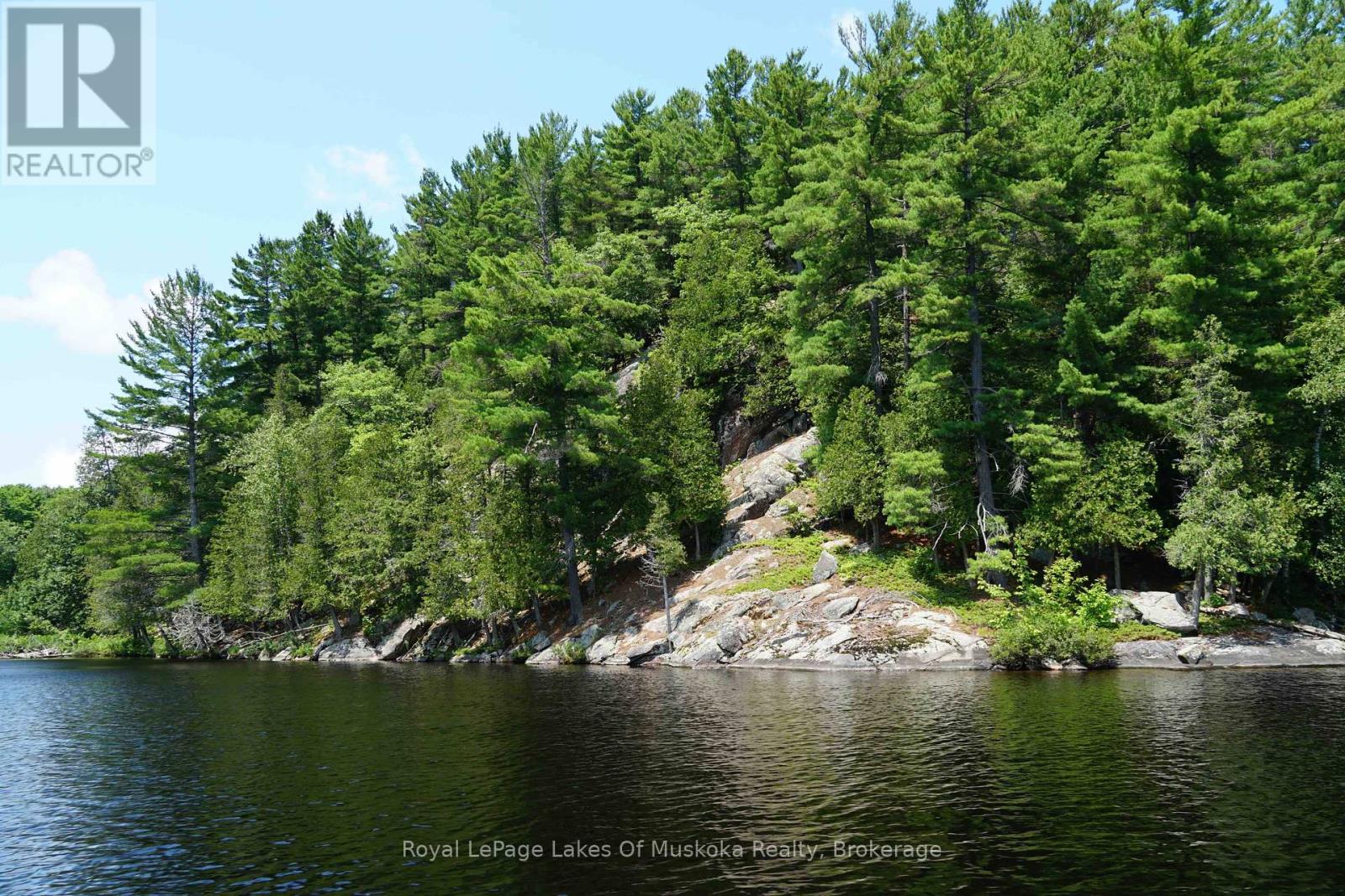 29 Thorburn Lane, Huntsville, Ontario  P1H 0C3 - Photo 12 - X12106255