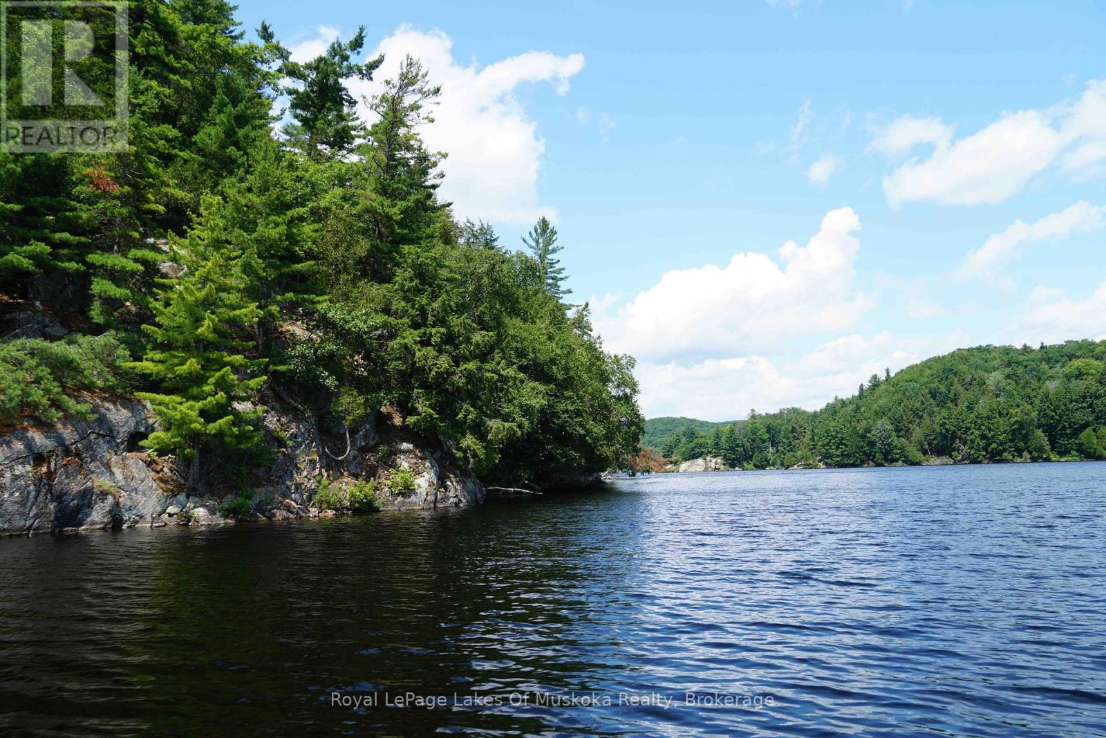 29 Thorburn Lane, Huntsville, Ontario  P1H 0C3 - Photo 16 - X12106255
