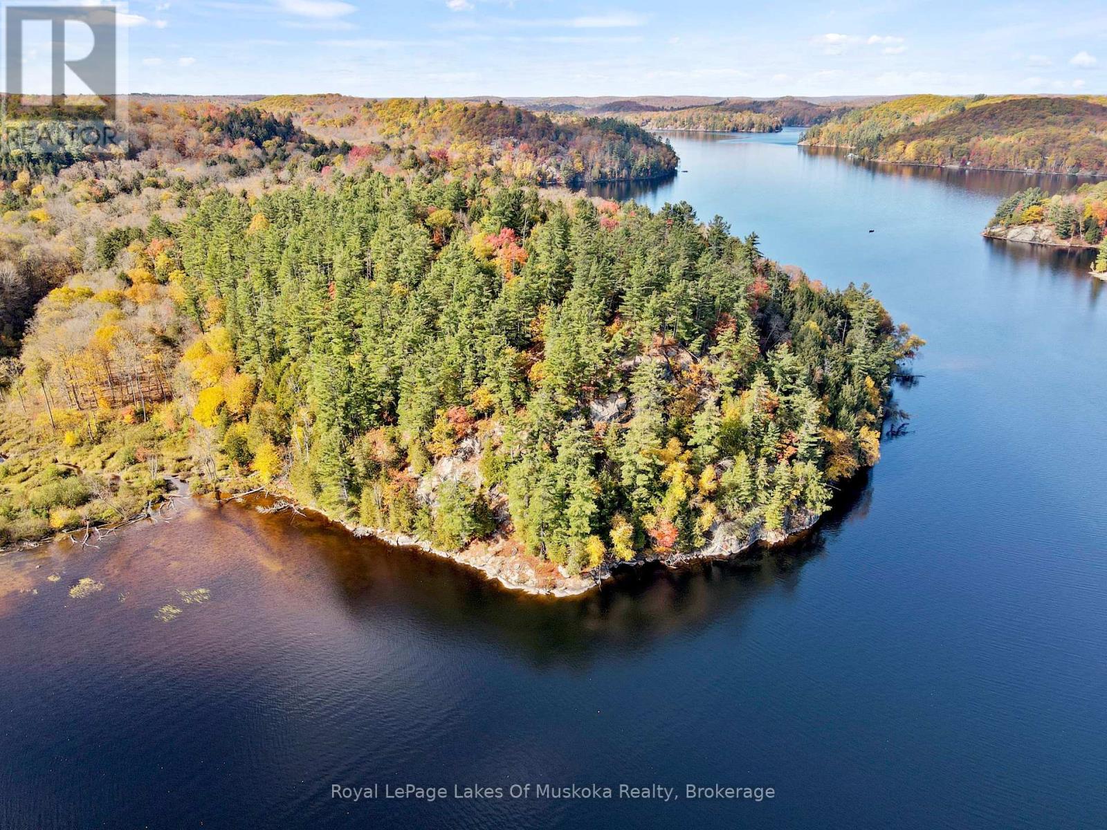 29 Thorburn Lane, Huntsville, Ontario  P1H 0C3 - Photo 4 - X12106255