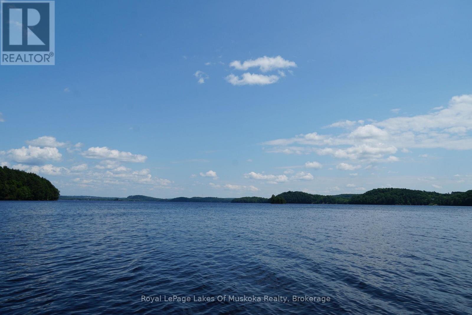 29 Thorburn Lane, Huntsville, Ontario  P1H 0C3 - Photo 8 - X12106255